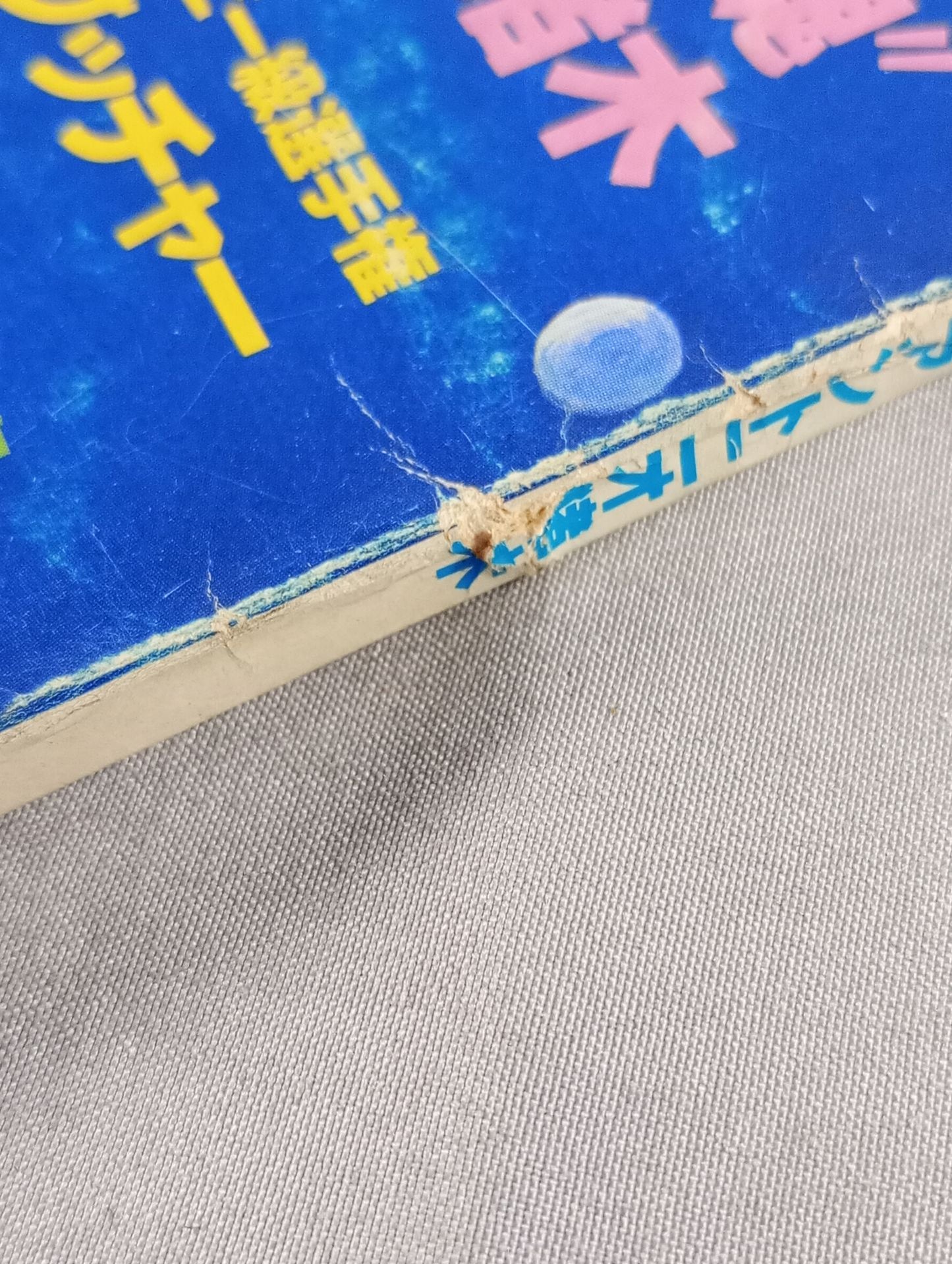 デラックスプロレス 1979年4月号