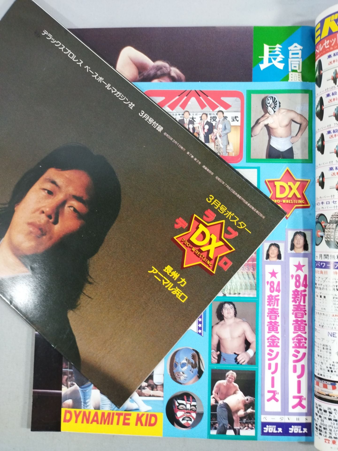 Deluxe Pro Wrestling 1984-03