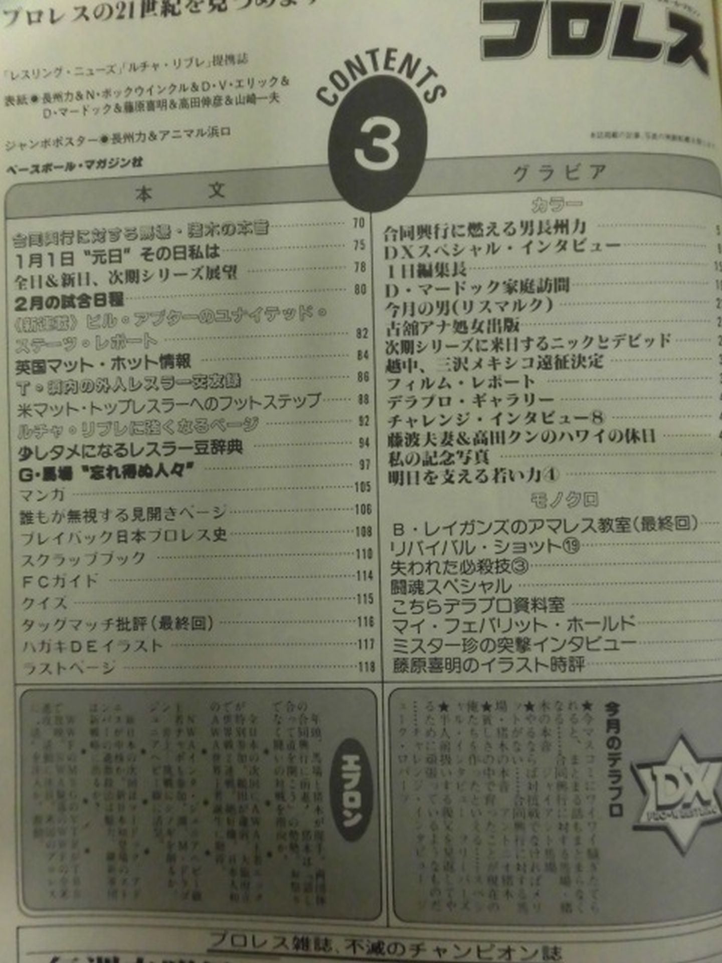 デラックスプロレス 1984年3月号