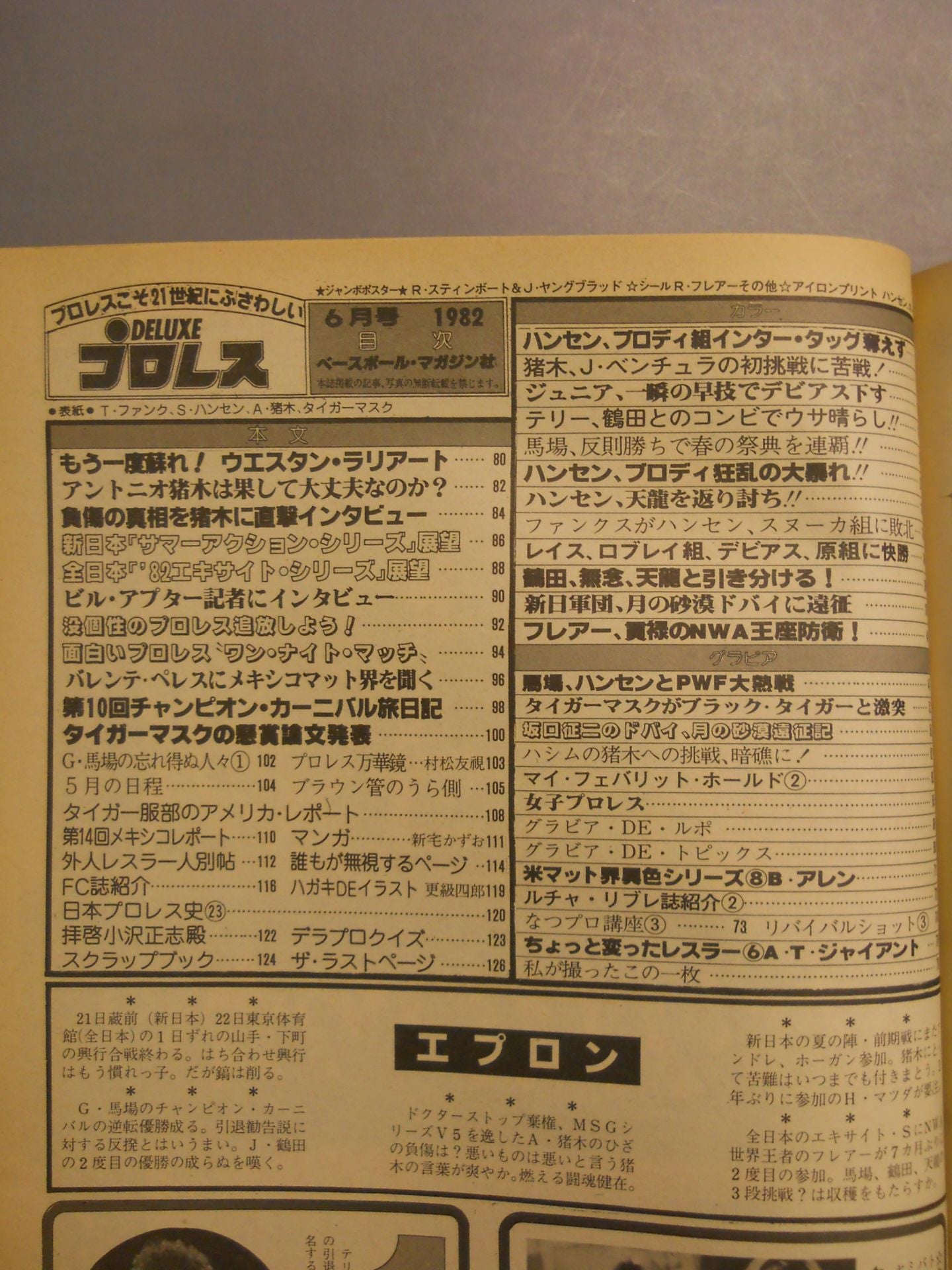 Deluxe Pro Wrestling June 1982
