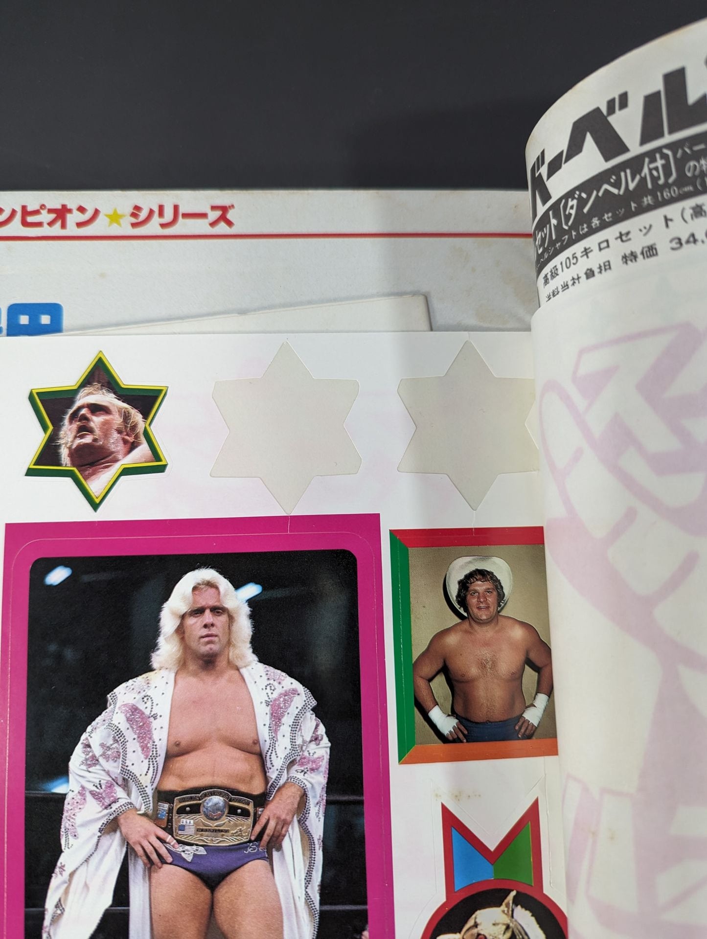 Deluxe Pro Wrestling June 1982