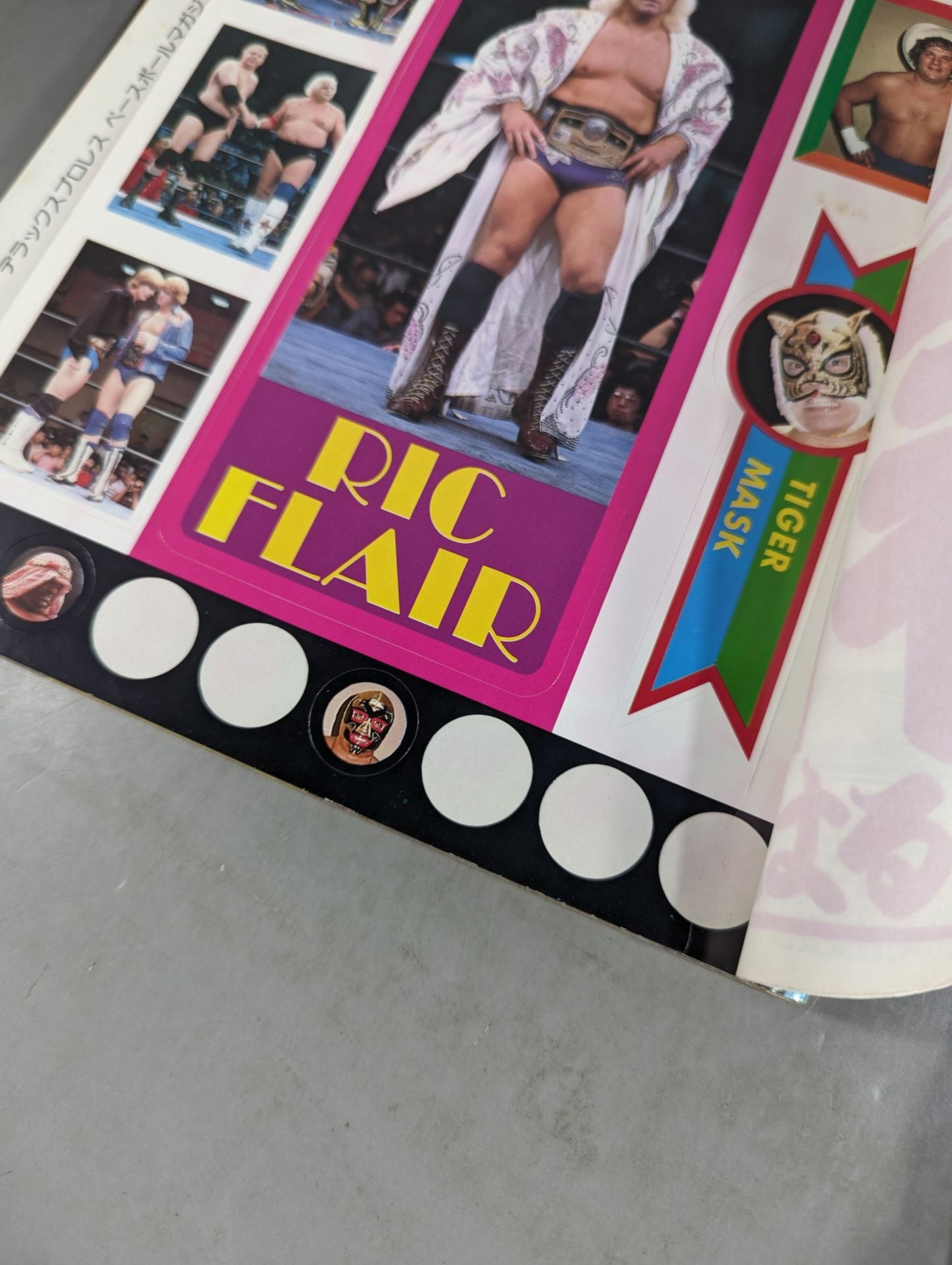 Deluxe Pro Wrestling June 1982