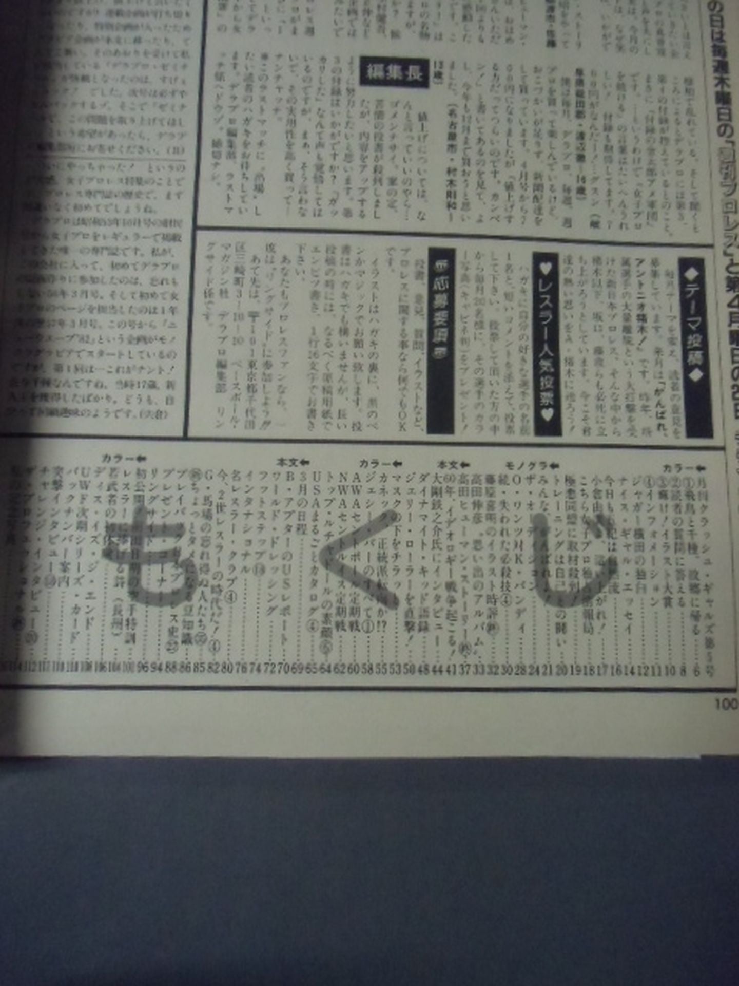 デラックスプロレス 1985年4月号