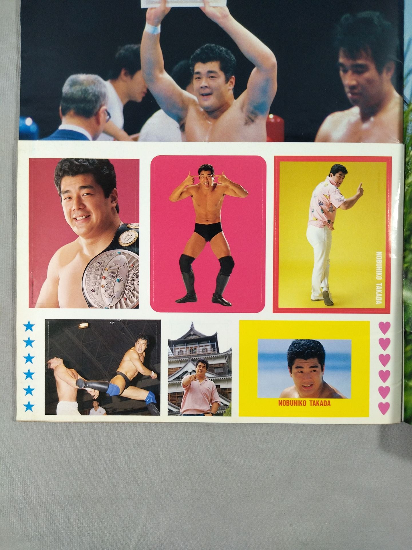 ニュープロレスアルバム1 高田伸彦/俺の征く道