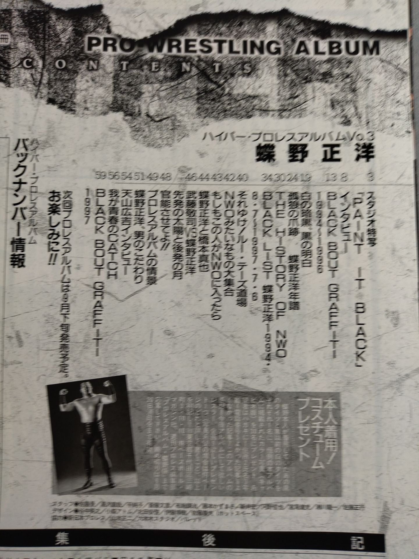 ハイパープロレスアルバム3 蝶野正洋