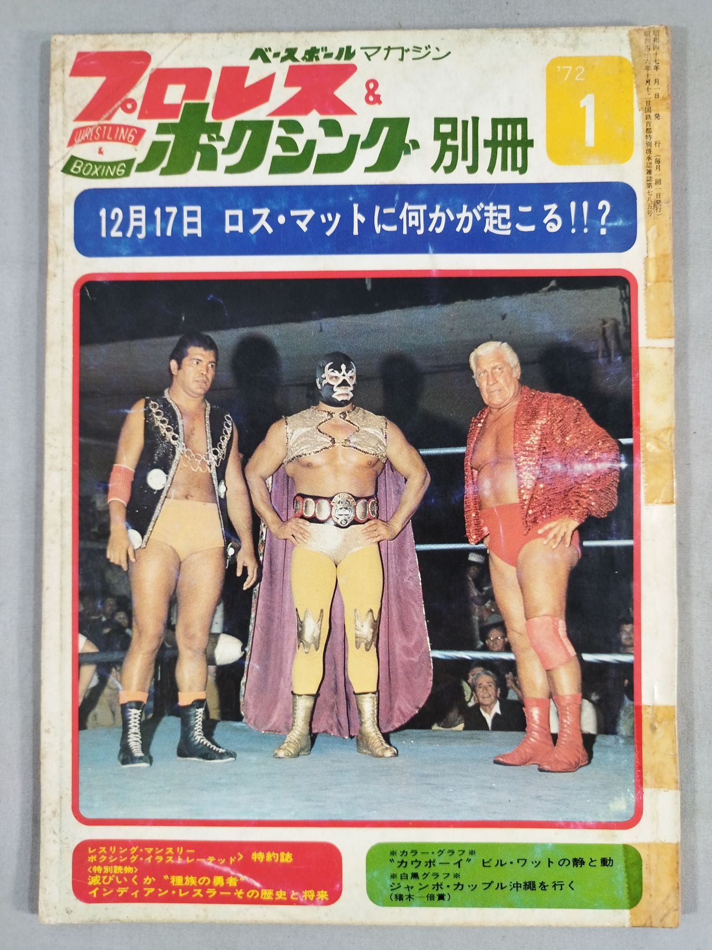 Pro Wrestling & Boxing 1972.01