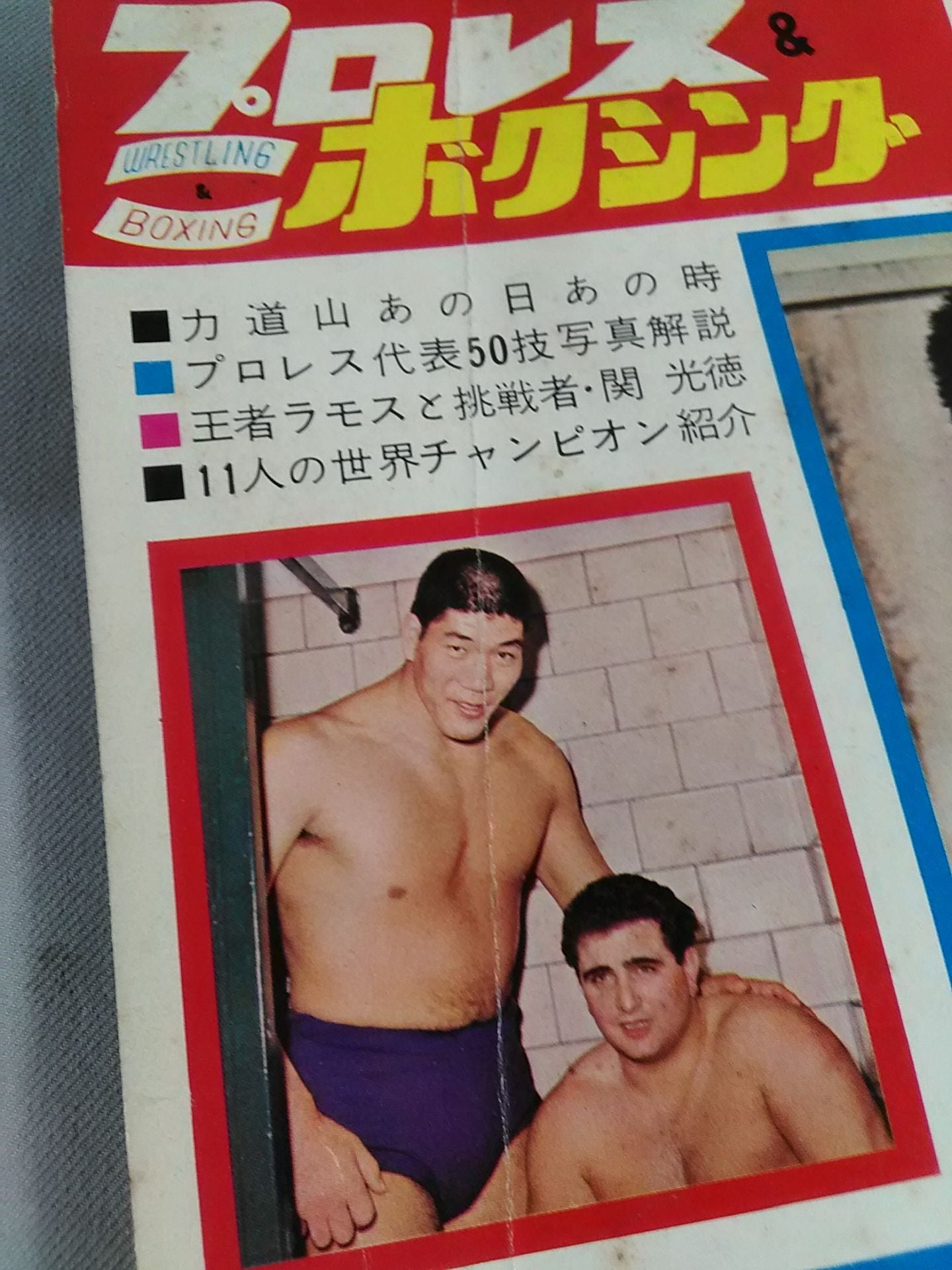 Pro Wrestling & Boxing 1964.03 Special Issue
