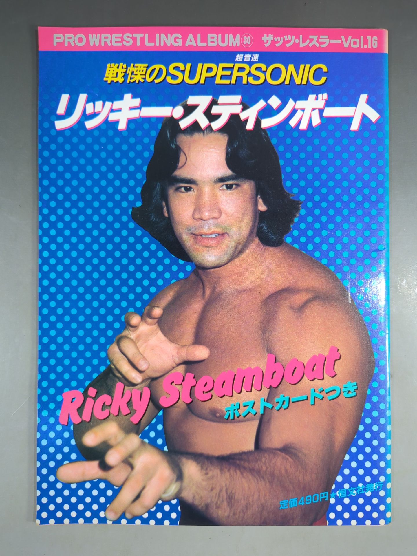 Pro Wrestling Album 30 by Ricky Stinboat