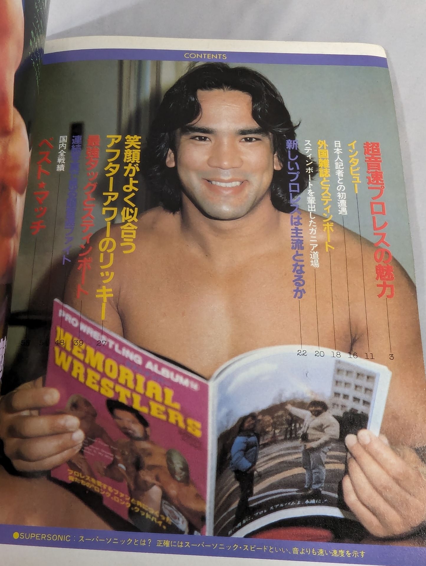 Pro Wrestling Album 30 by Ricky Stinboat