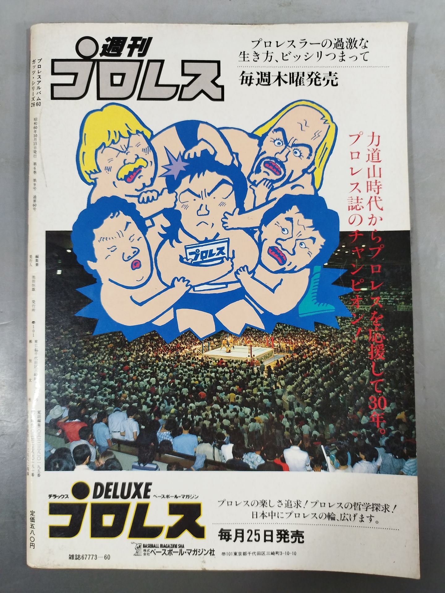 Pro Wrestling album 60 Now it's time to go back to the All-Star Fight of your dreams