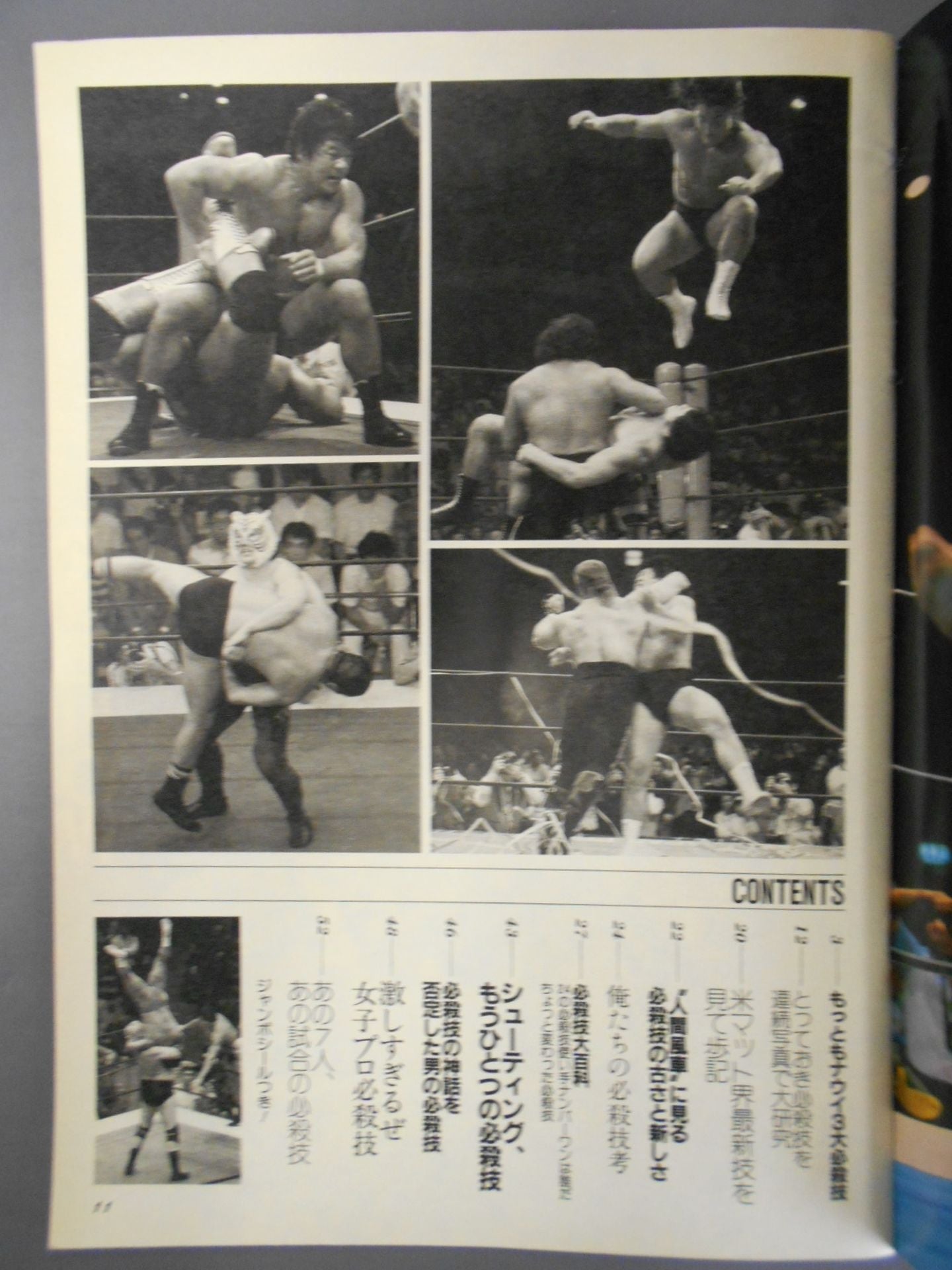 Pro Wrestling Album 58 More Special Moves