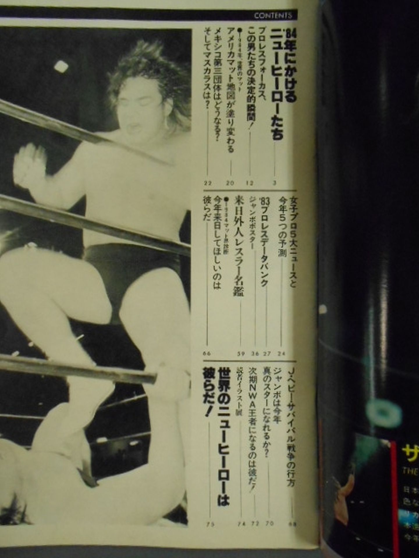 プロレスアルバム41 プロレスイヤーズ・ブック1984
