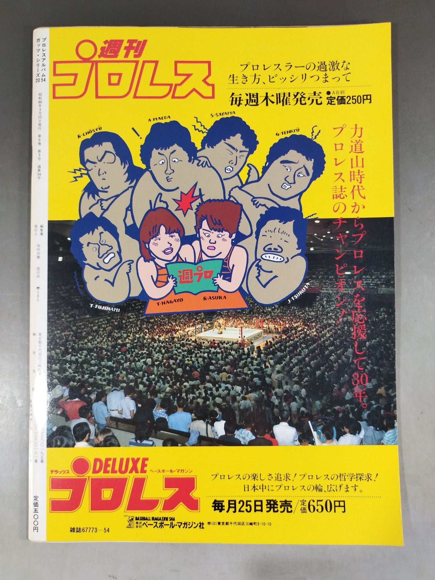 Pro Wrestling Album 54 Sortie! Riki Choshu Corps