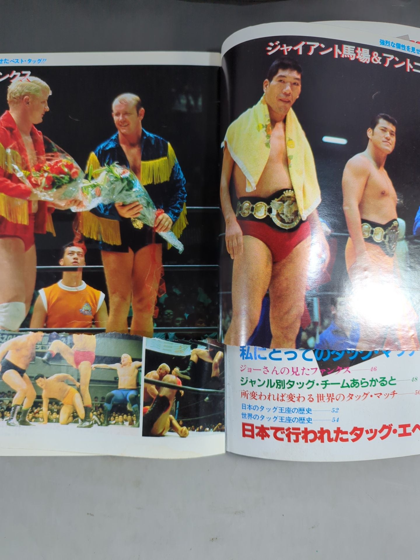 Pro Wrestling Album 22 Best Tag Team in the World