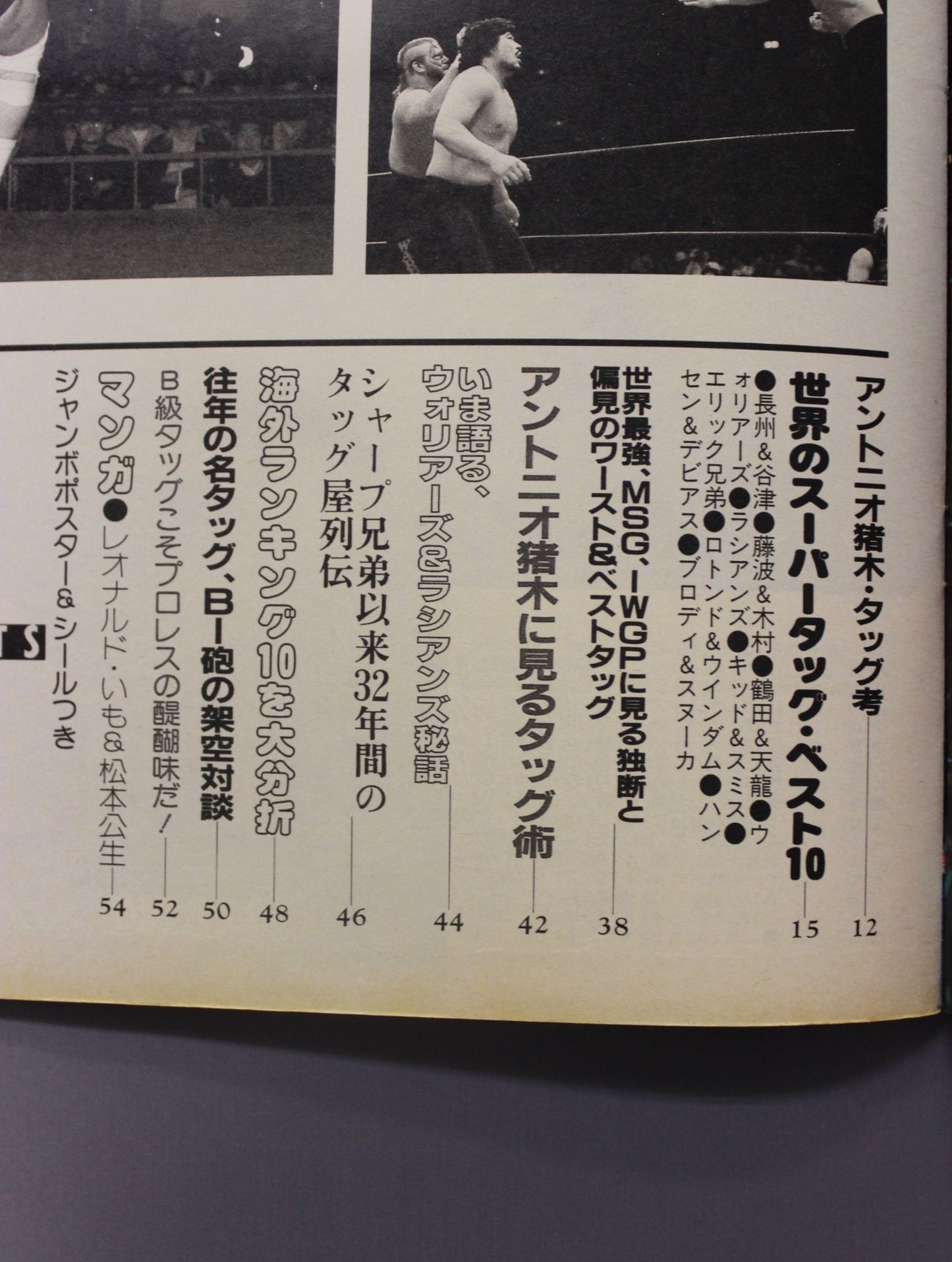 Pro Wrestling Album 65 New Wave Tag Team