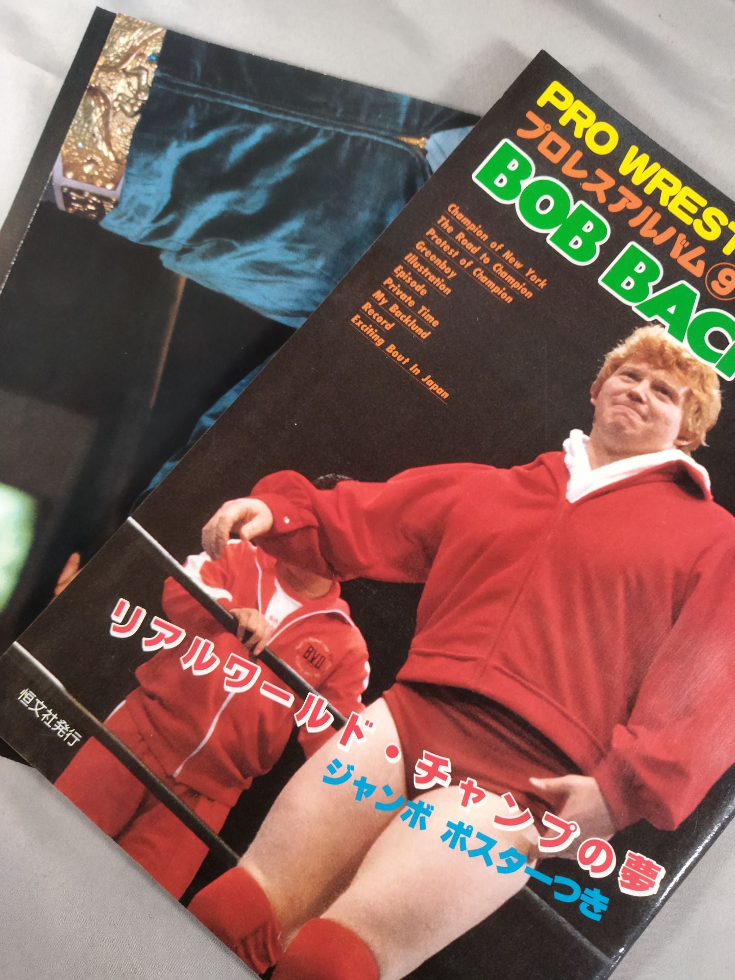 プロレスアルバム9 ボブ・バックランド