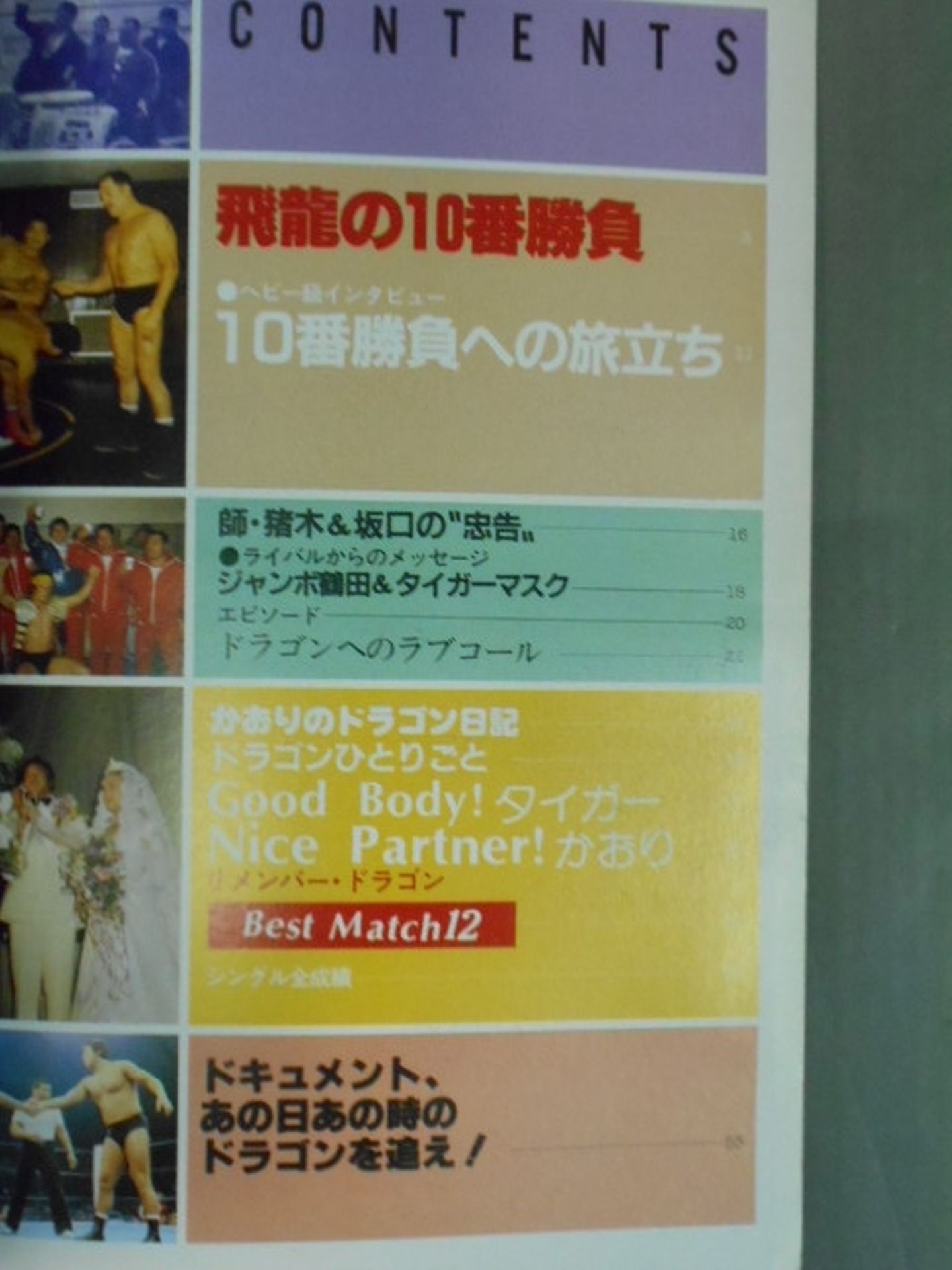 Pro Wrestling Album 23 Tatsumi Fujinami revised edition