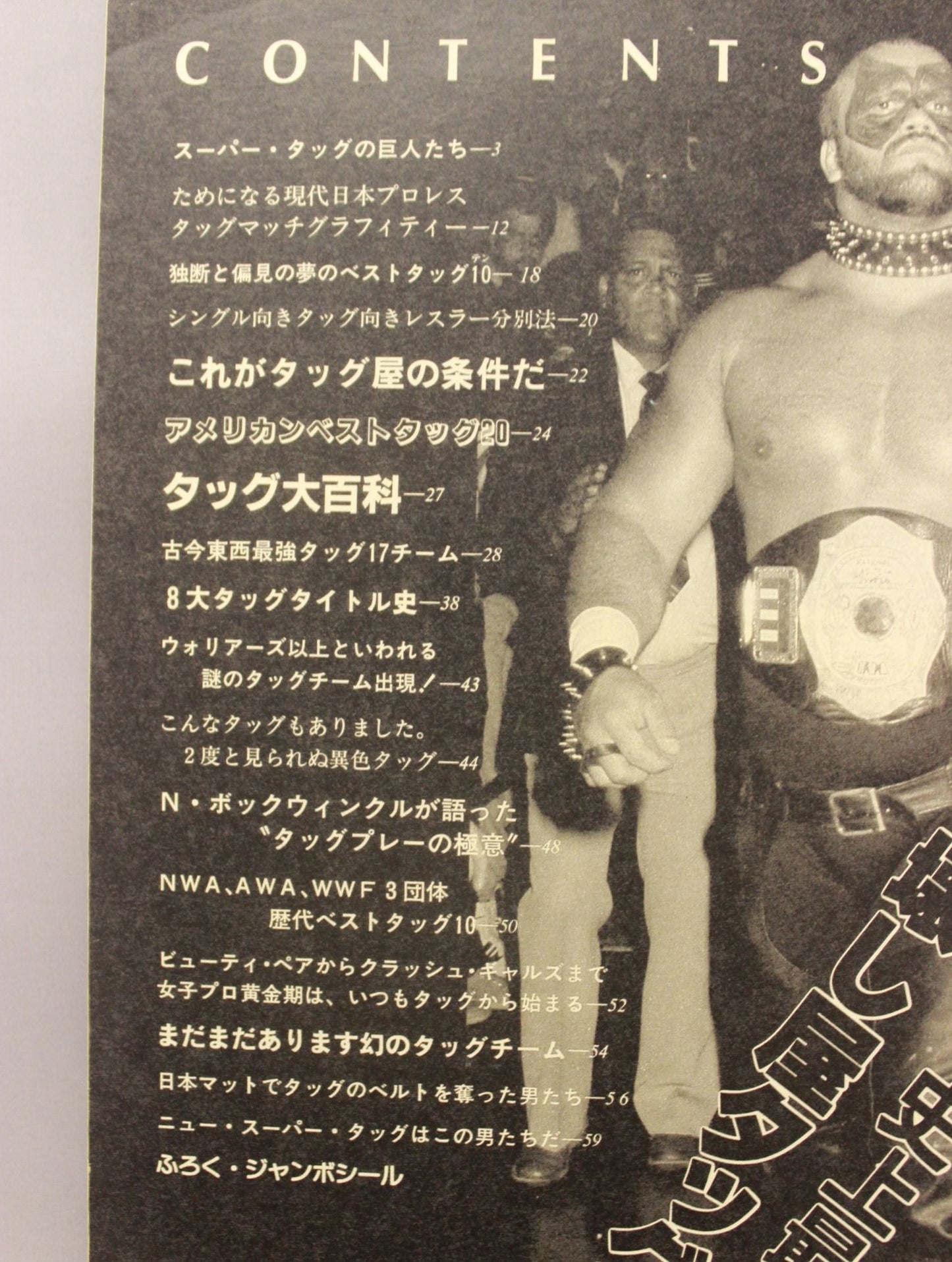 Pro Wrestling Album 55 Super Tag Team NOW!