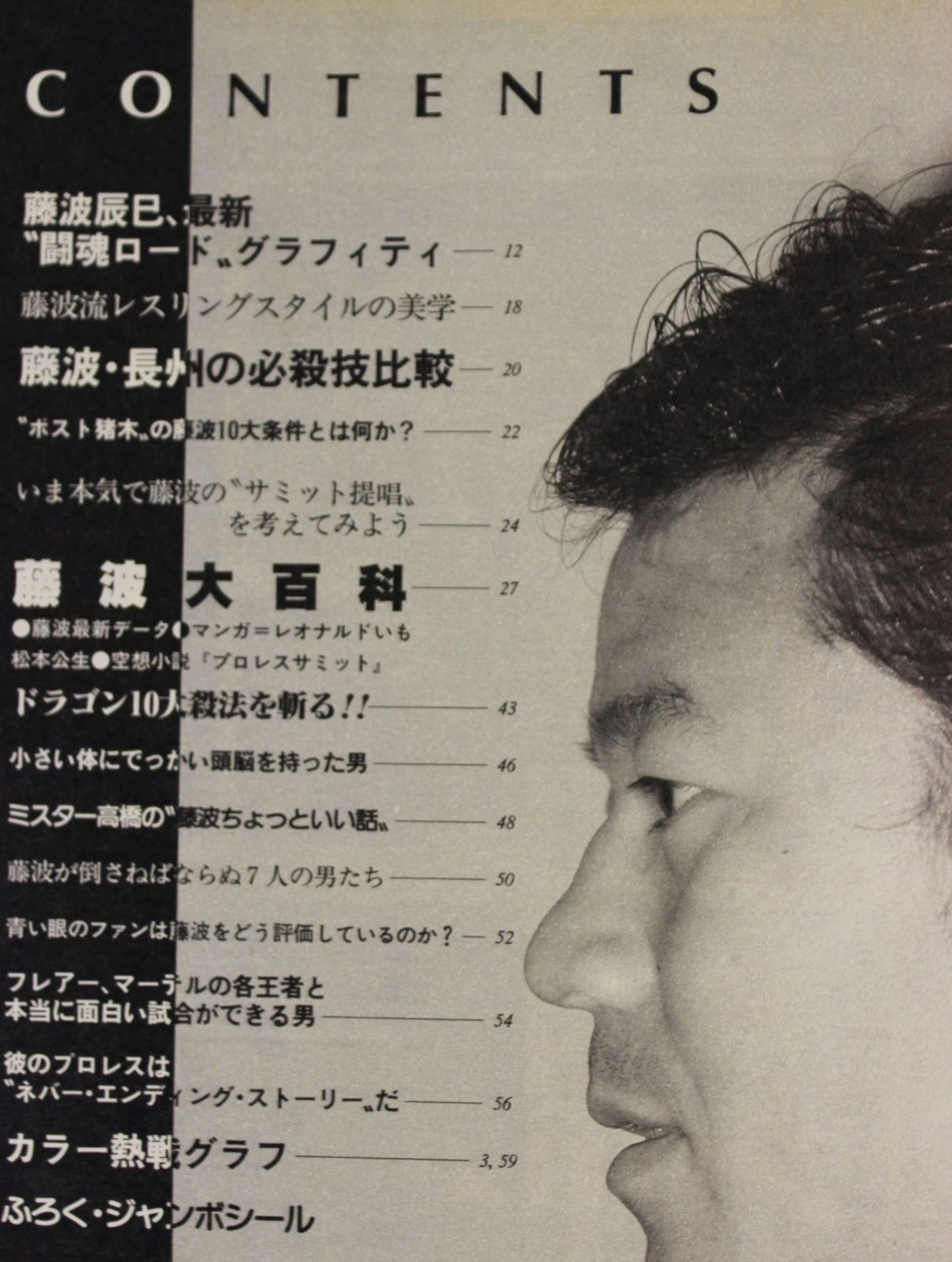 Pro Wrestling Album 56 Now, WhyTatsumi Fujinami