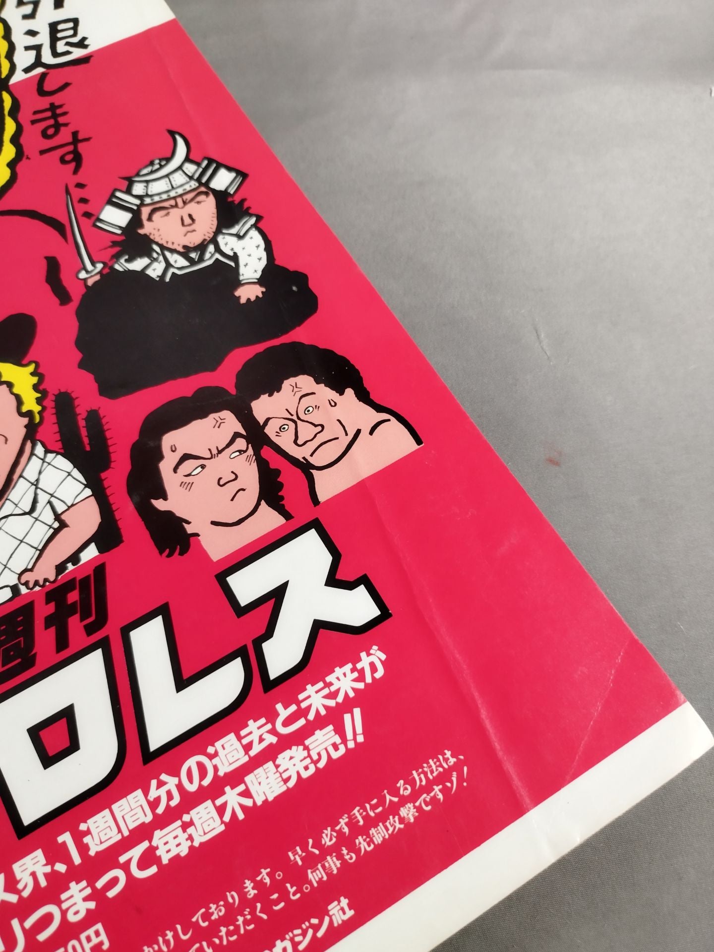Pro Wrestling Album 38 Tiger Mask Forever