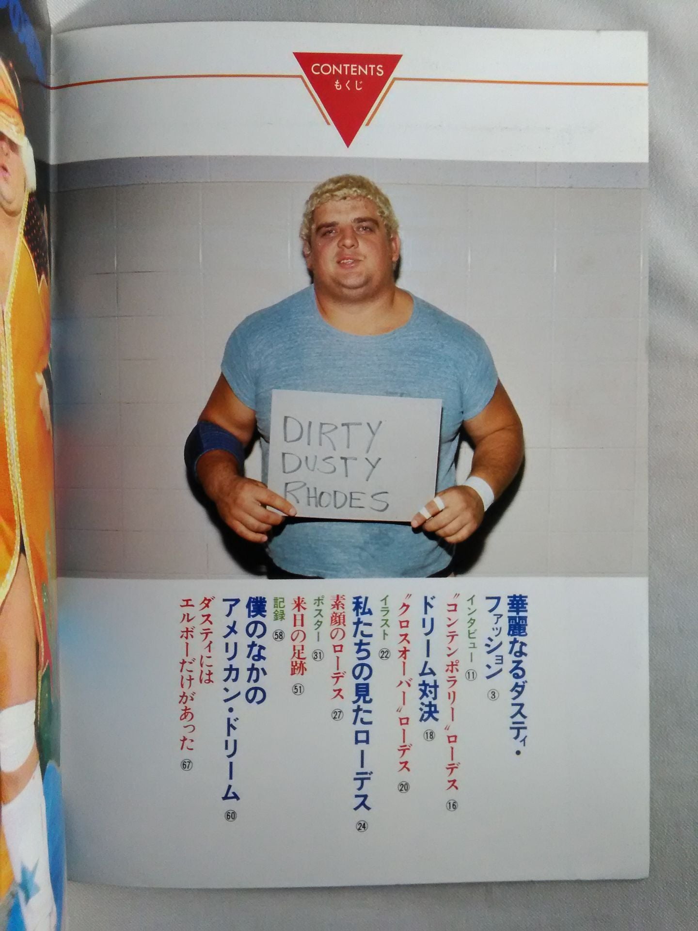 プロレスアルバム13 ダスティ・ローデス