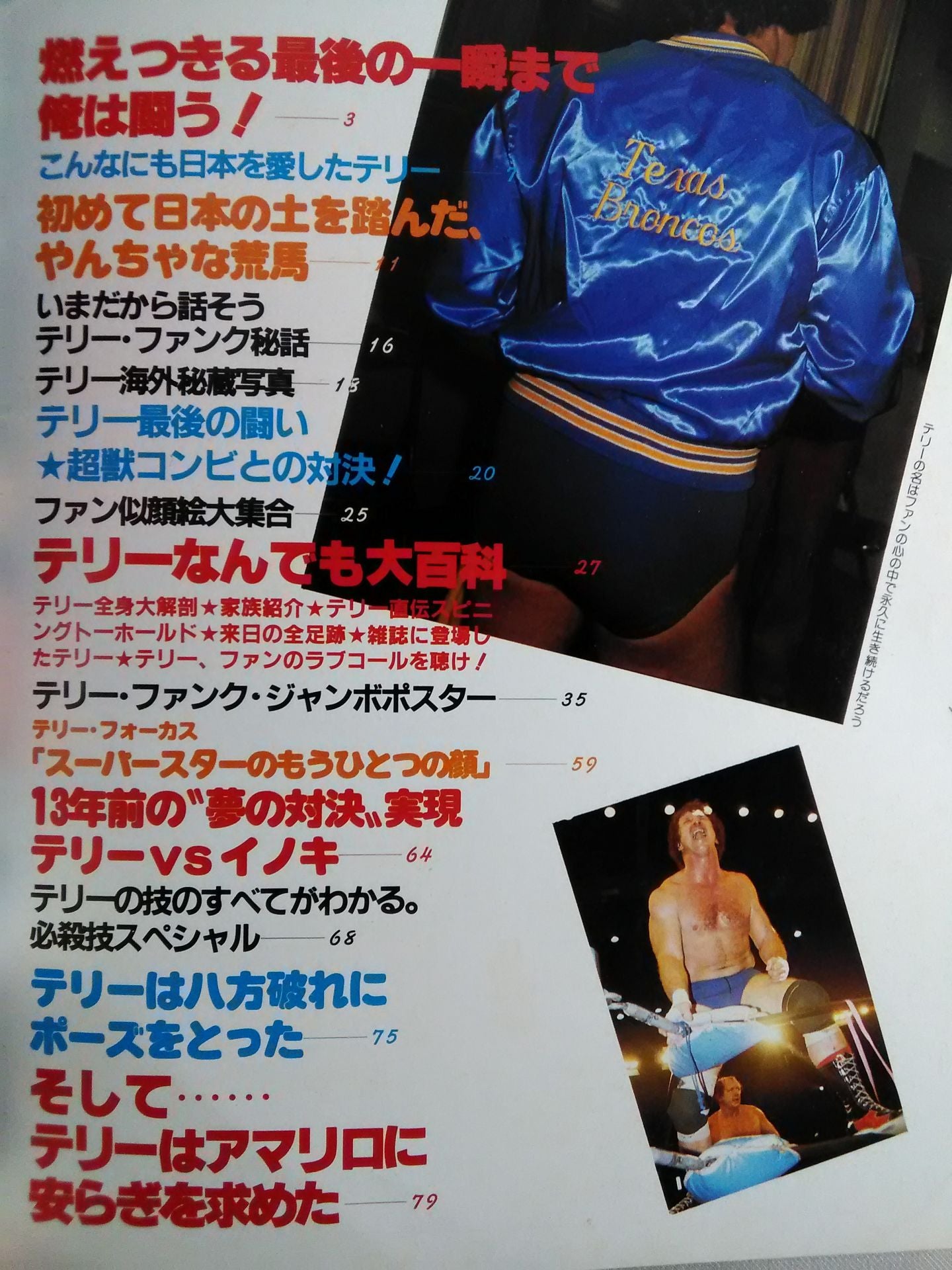 プロレスアルバム36 さよならテリー・ファンク