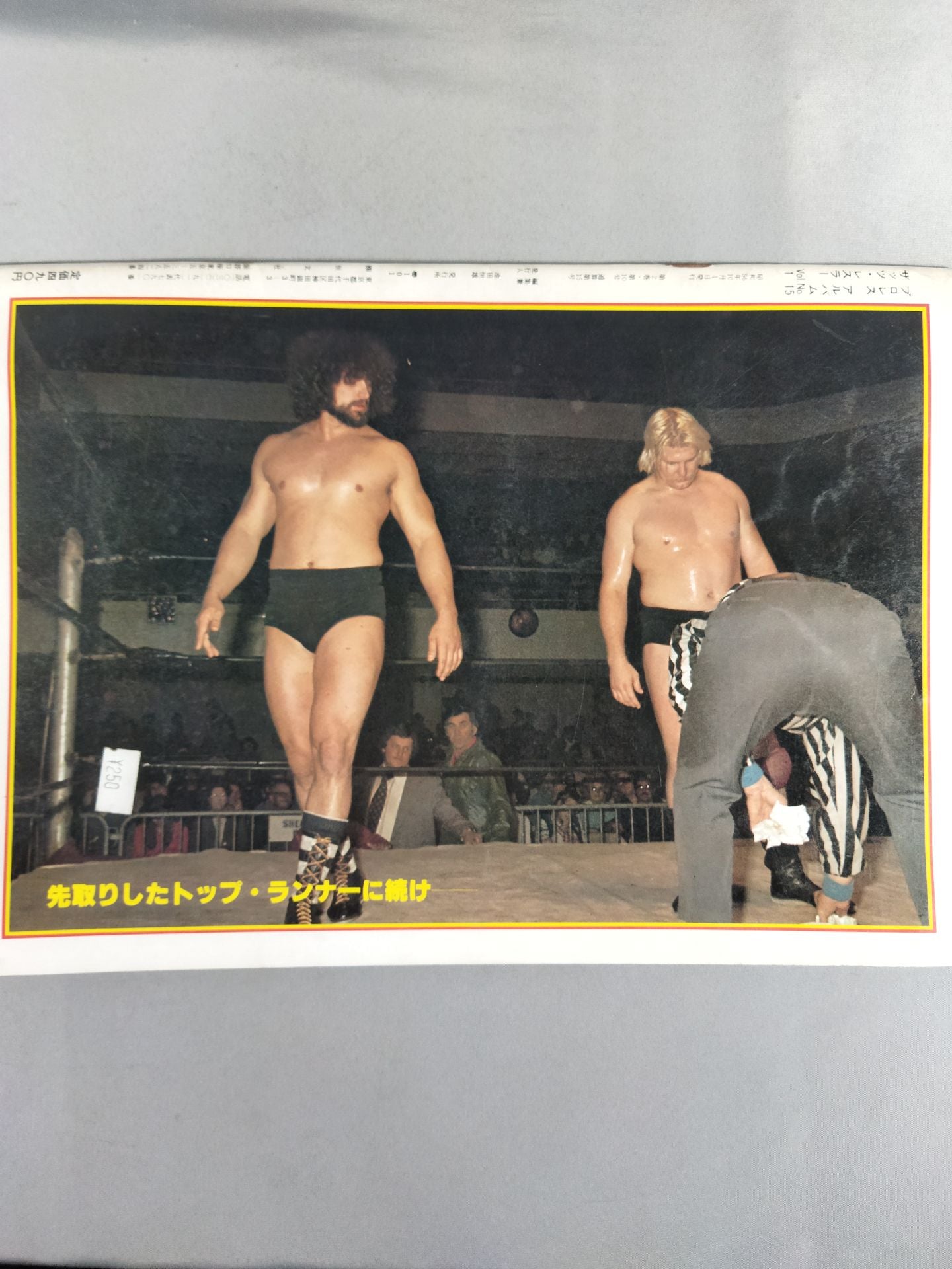 Pro Wrestling Album 15 New Wave 7
