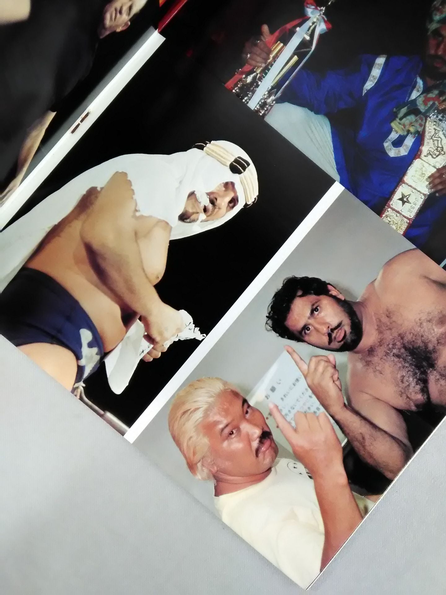 Pro Wrestling Album 16 The Heel