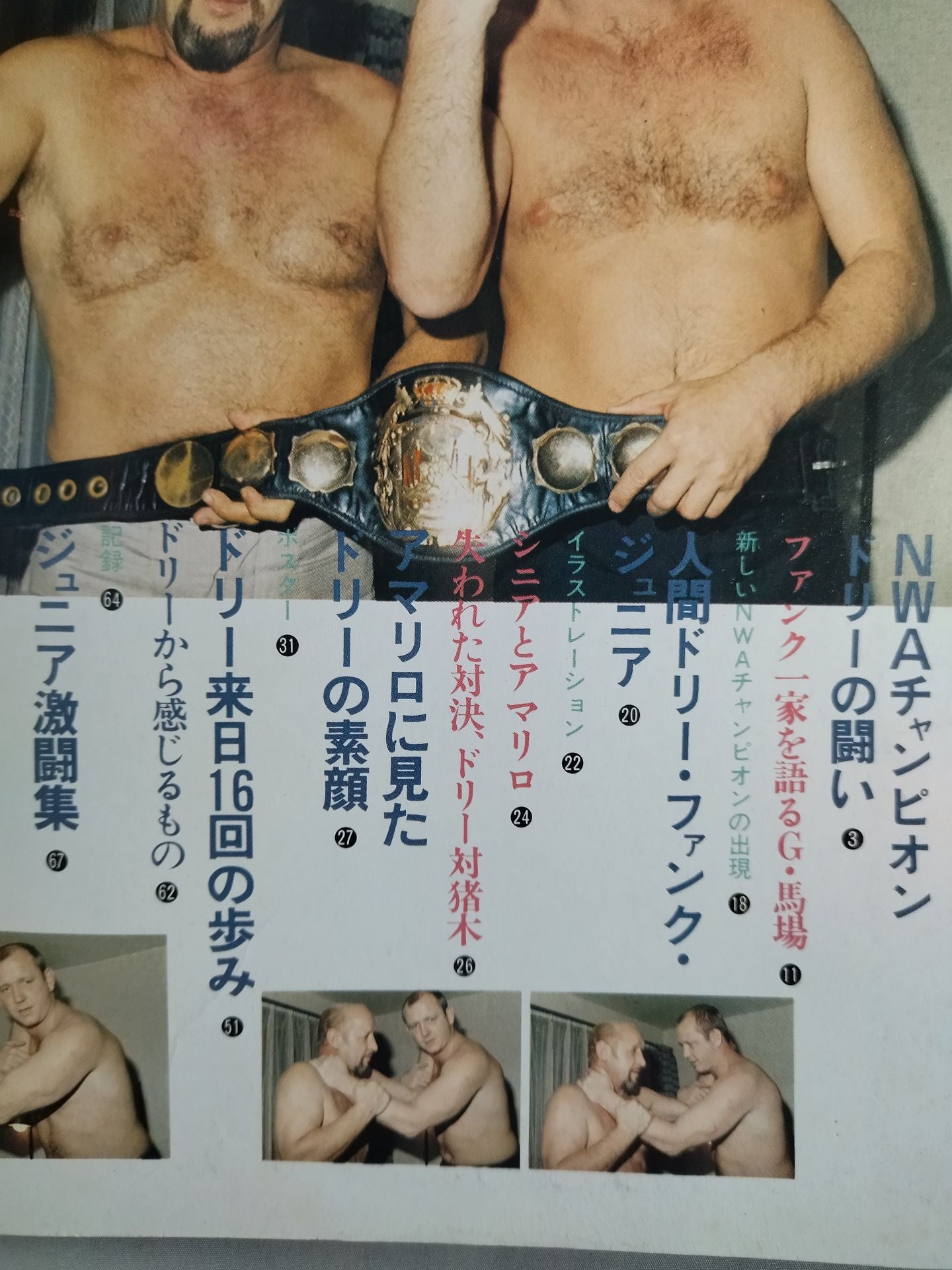 Pro Wrestling Album 12 Dory Funk Jr. . SPINNING TOE-HOLD
