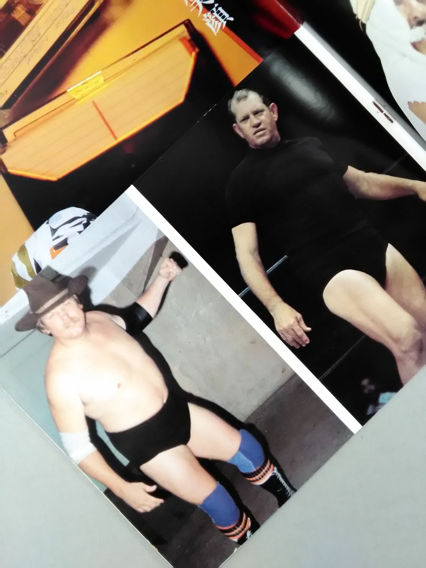 Pro Wrestling Album 16 The Heel