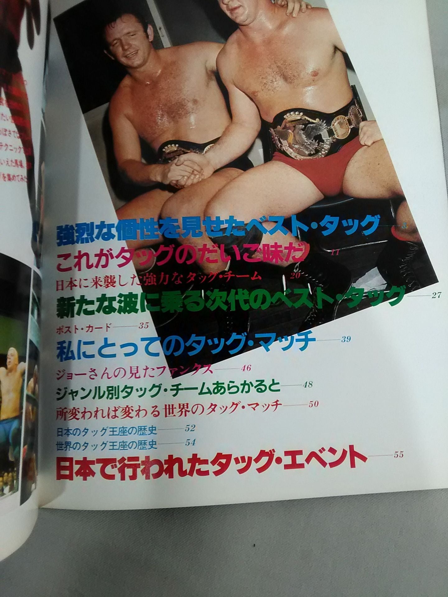 Pro Wrestling Album 22 Best Tag Team in the World