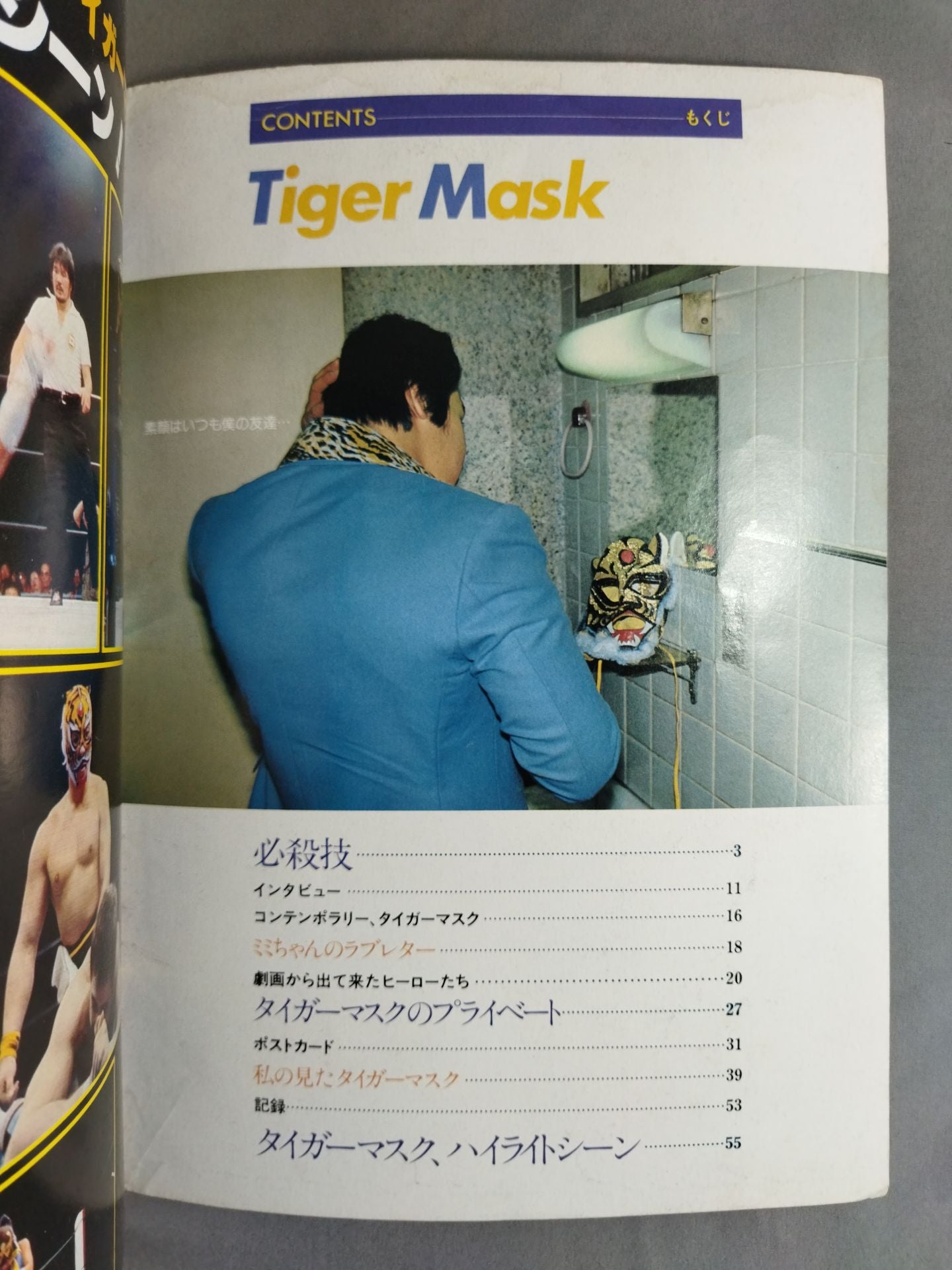 Pro Wrestling Album 18 Tiger Mask
