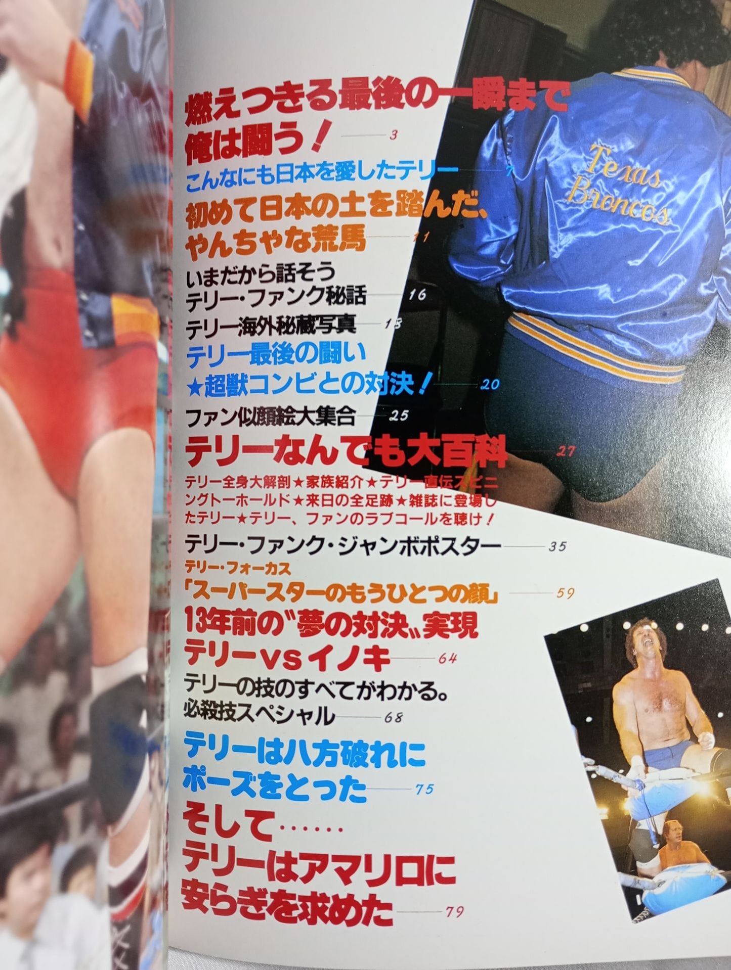 Pro Wrestling Album 36 Goodbye Terry Funk