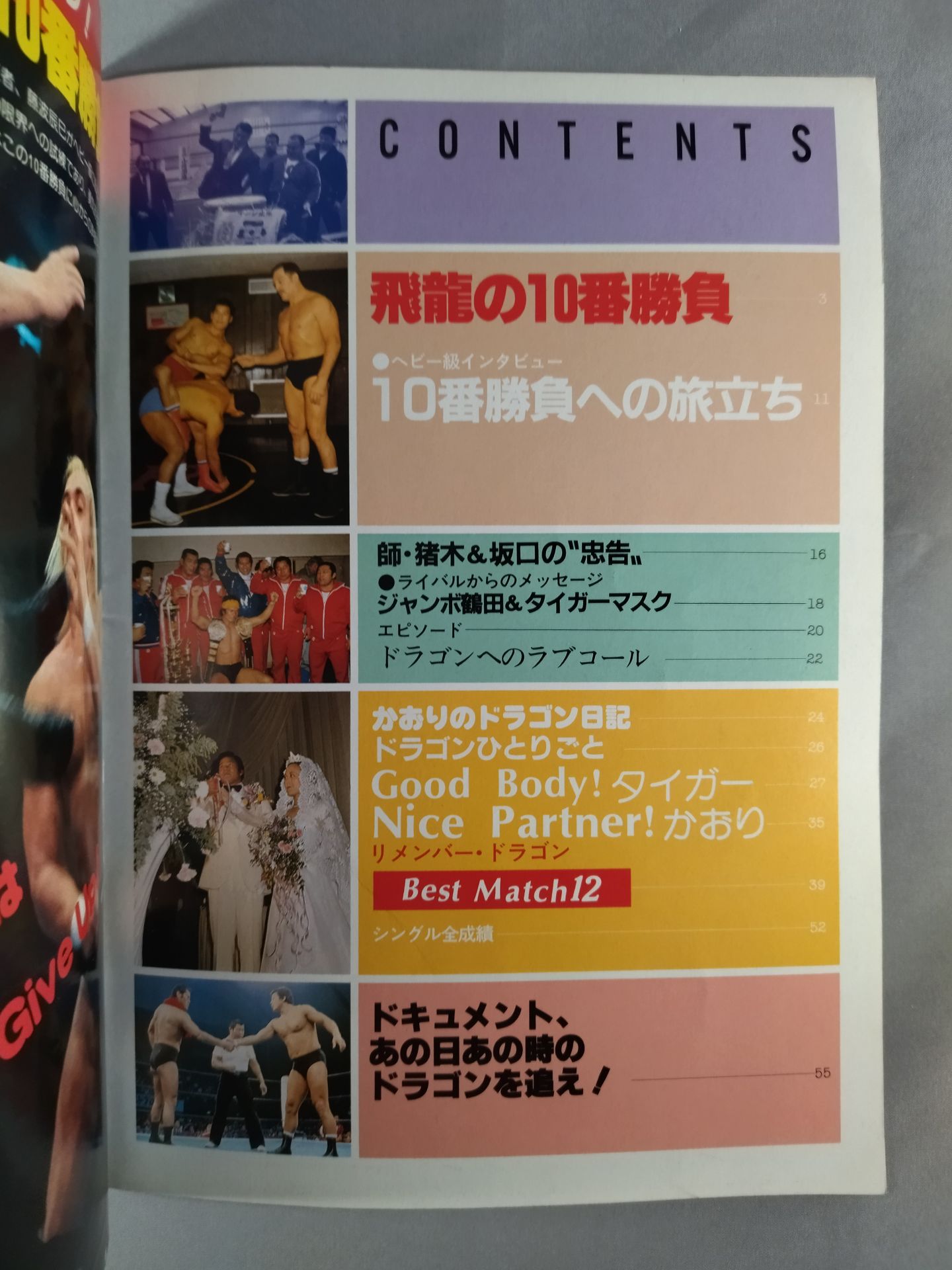 Pro Wrestling Album 23 Tatsumi Fujinami revised edition