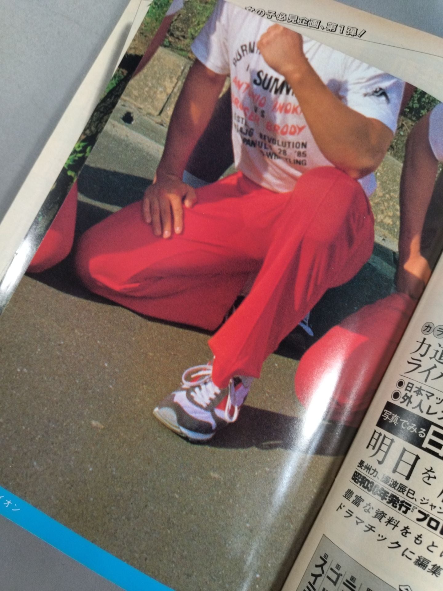 Pro Wrestling Album 68 Winged Young Lion