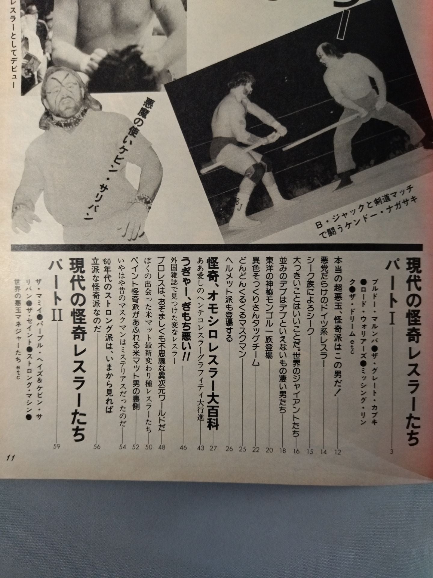 Pro Wrestling Album 51 This is itPro Wrestling Wonderland!!