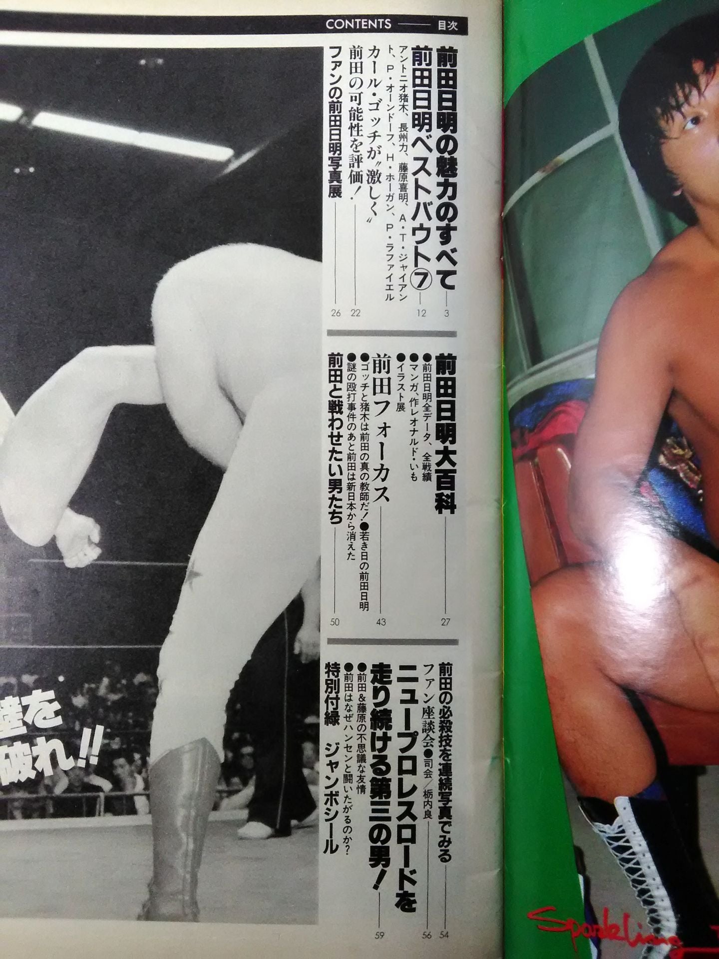 プロレスアルバム46 前田日明