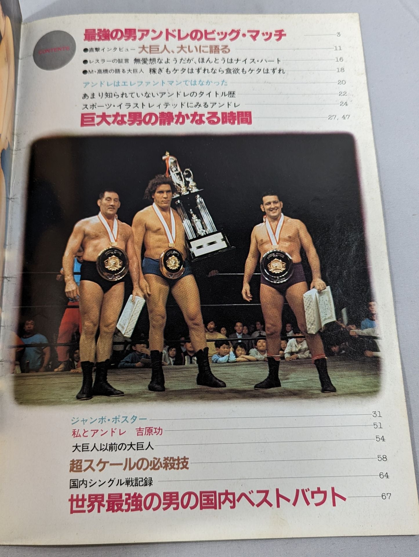 Pro Wrestling Album 28 Andre the Giant