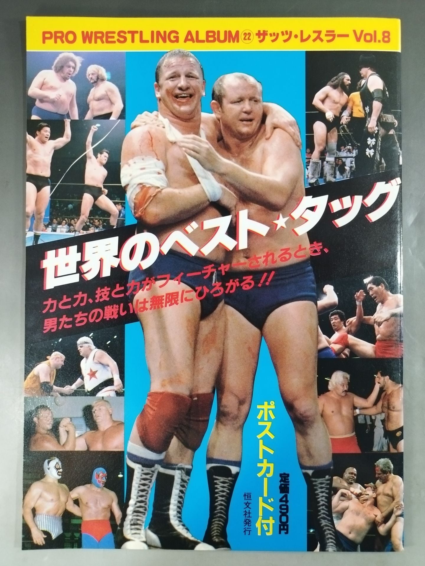 Pro Wrestling Album 22 Best Tag Team in the World