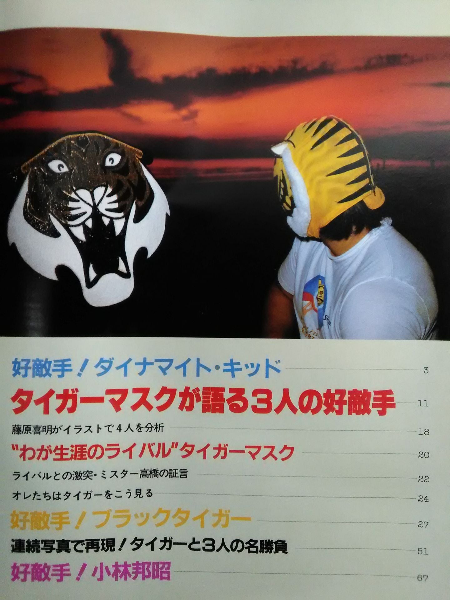 Pro Wrestling Album 31 Tiger Mask and 3 Friendly Moves