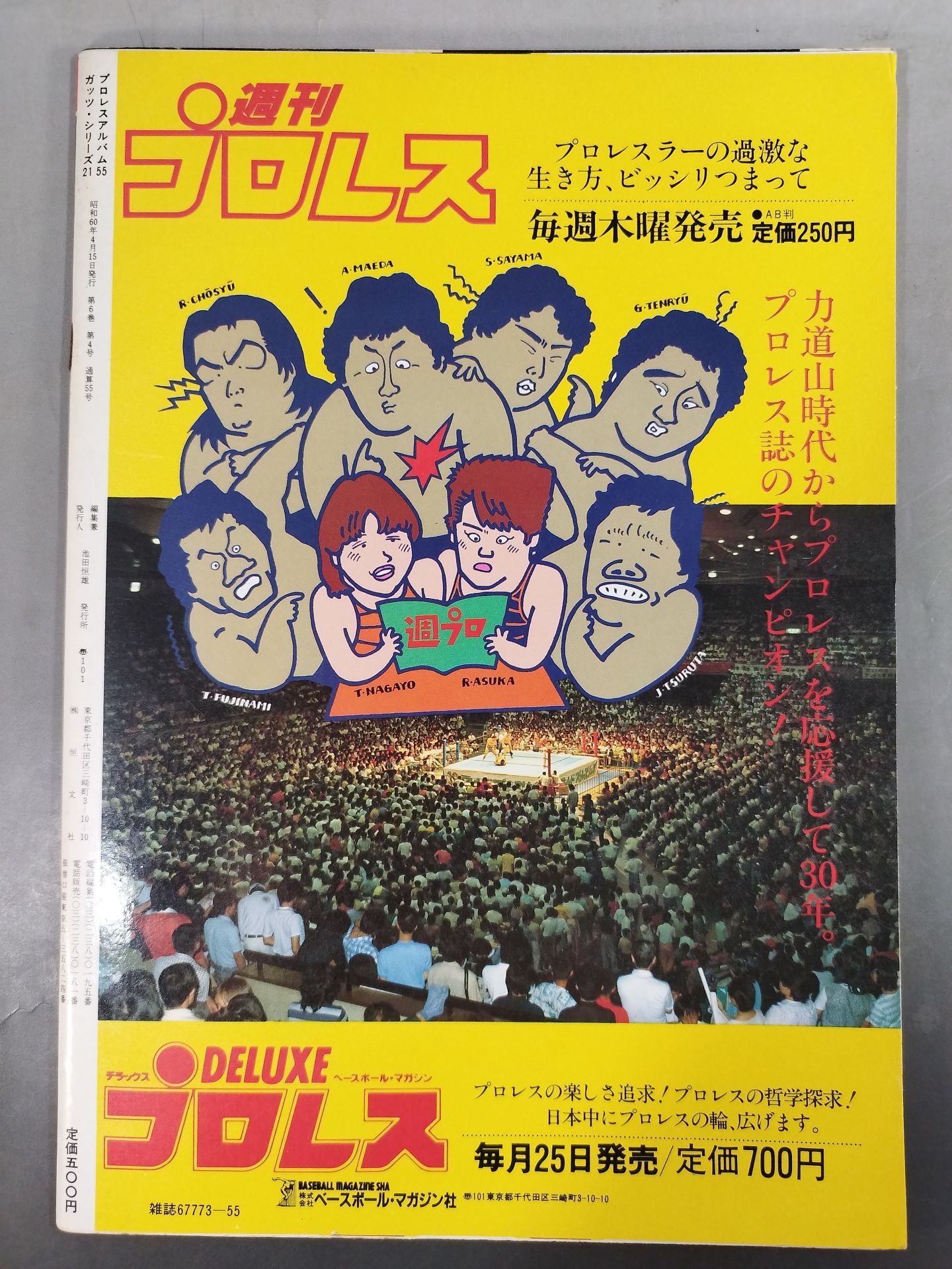 プロレスアルバム55 スーパータッグNOW!