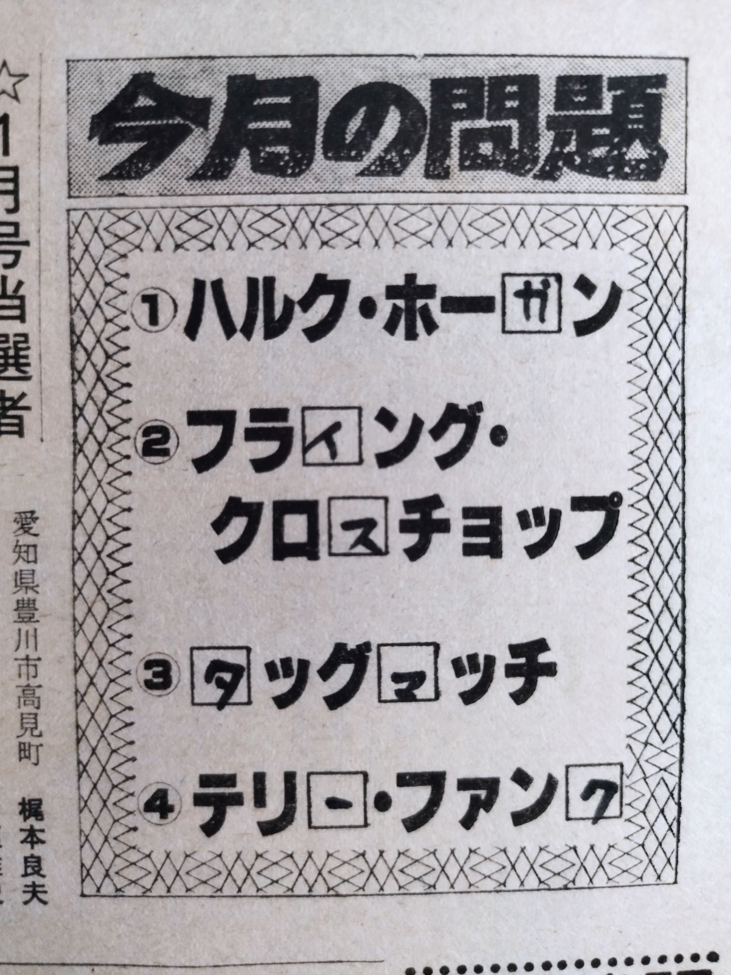 Monthly Pro Wrestling February 1982 issue
