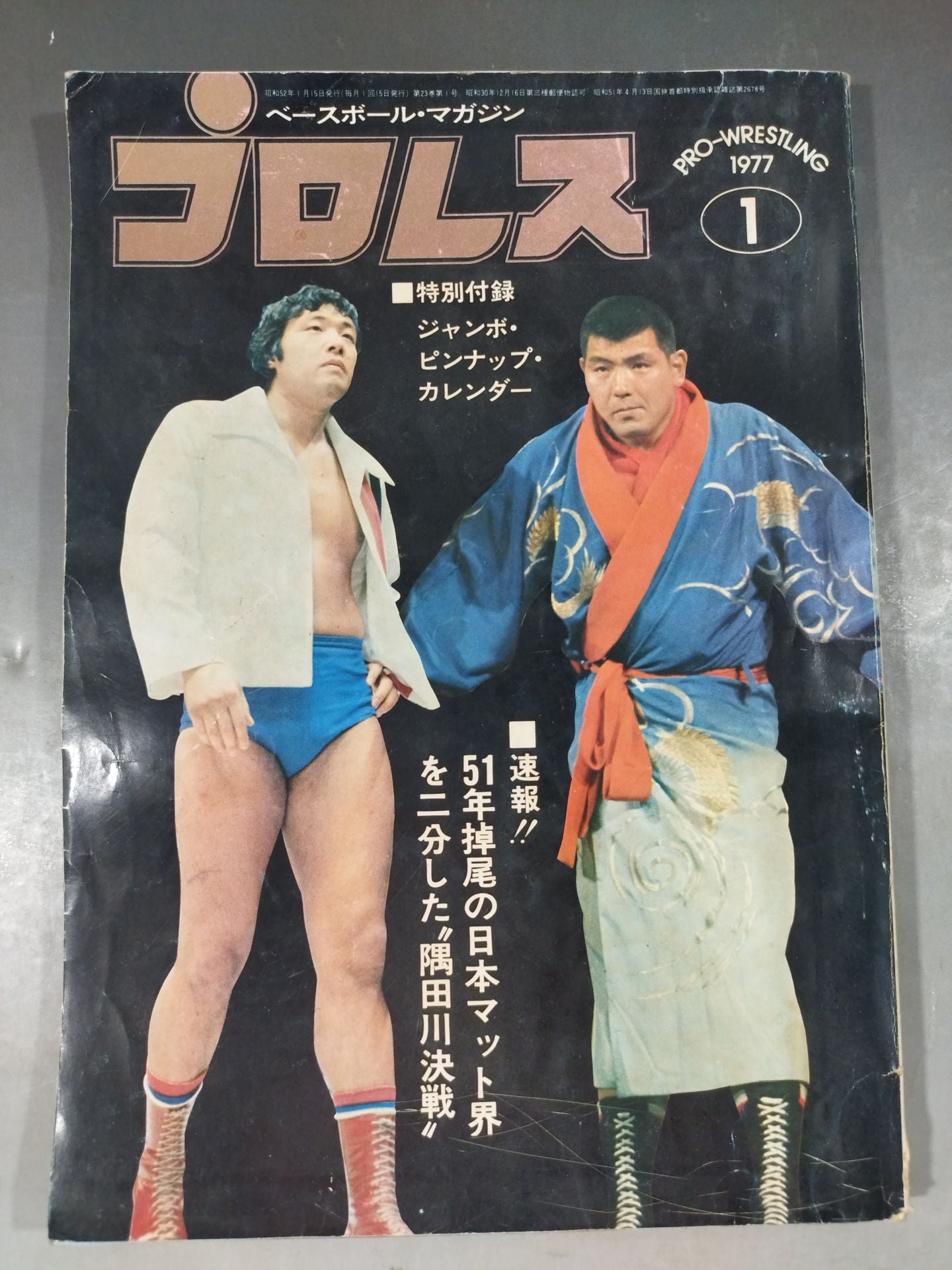 Pro Wrestling Monthly 1977.01
