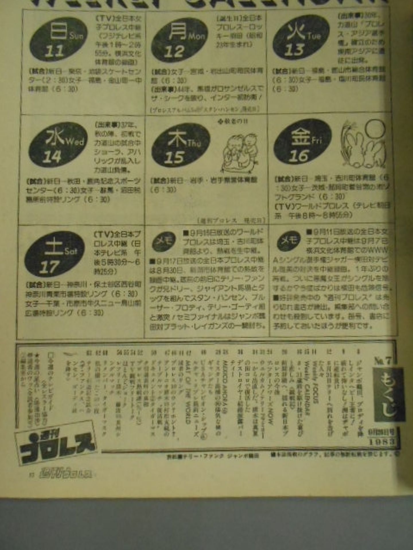 Weekly Pro Wrestling 8