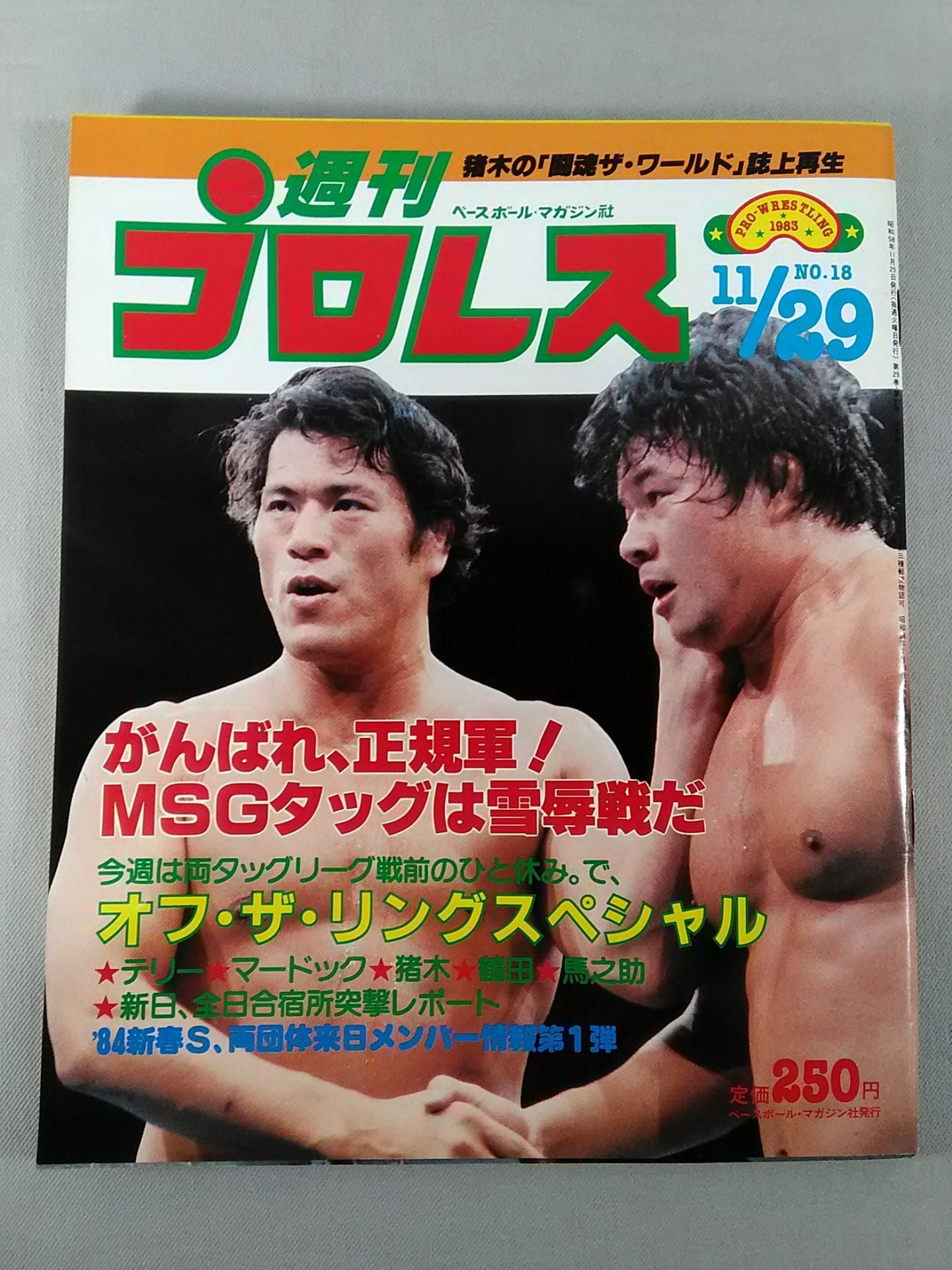 激レア☆1983年週刊プロレス創刊～22（6無し)+9冊 週刊プロレス