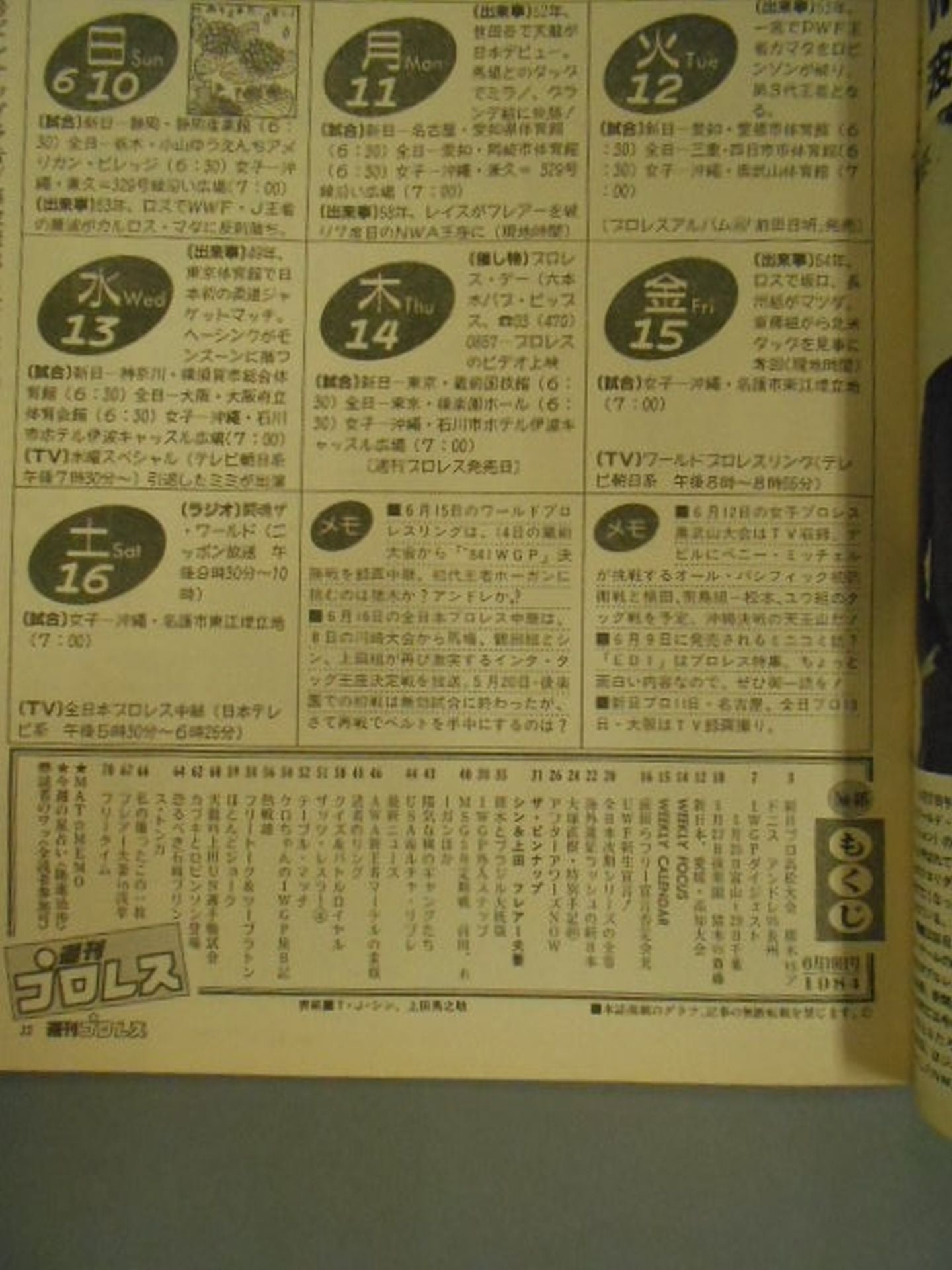 Weekly Pro Wrestling 46