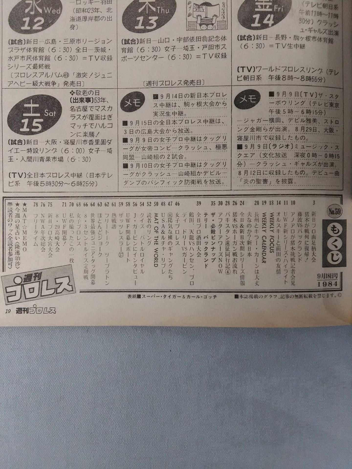 Weekly Pro Wrestling 59