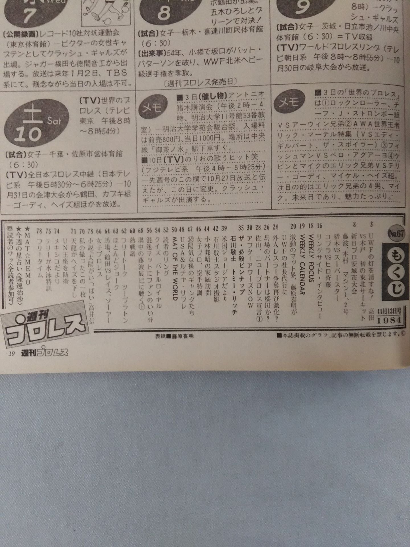 Weekly Pro Wrestling 67