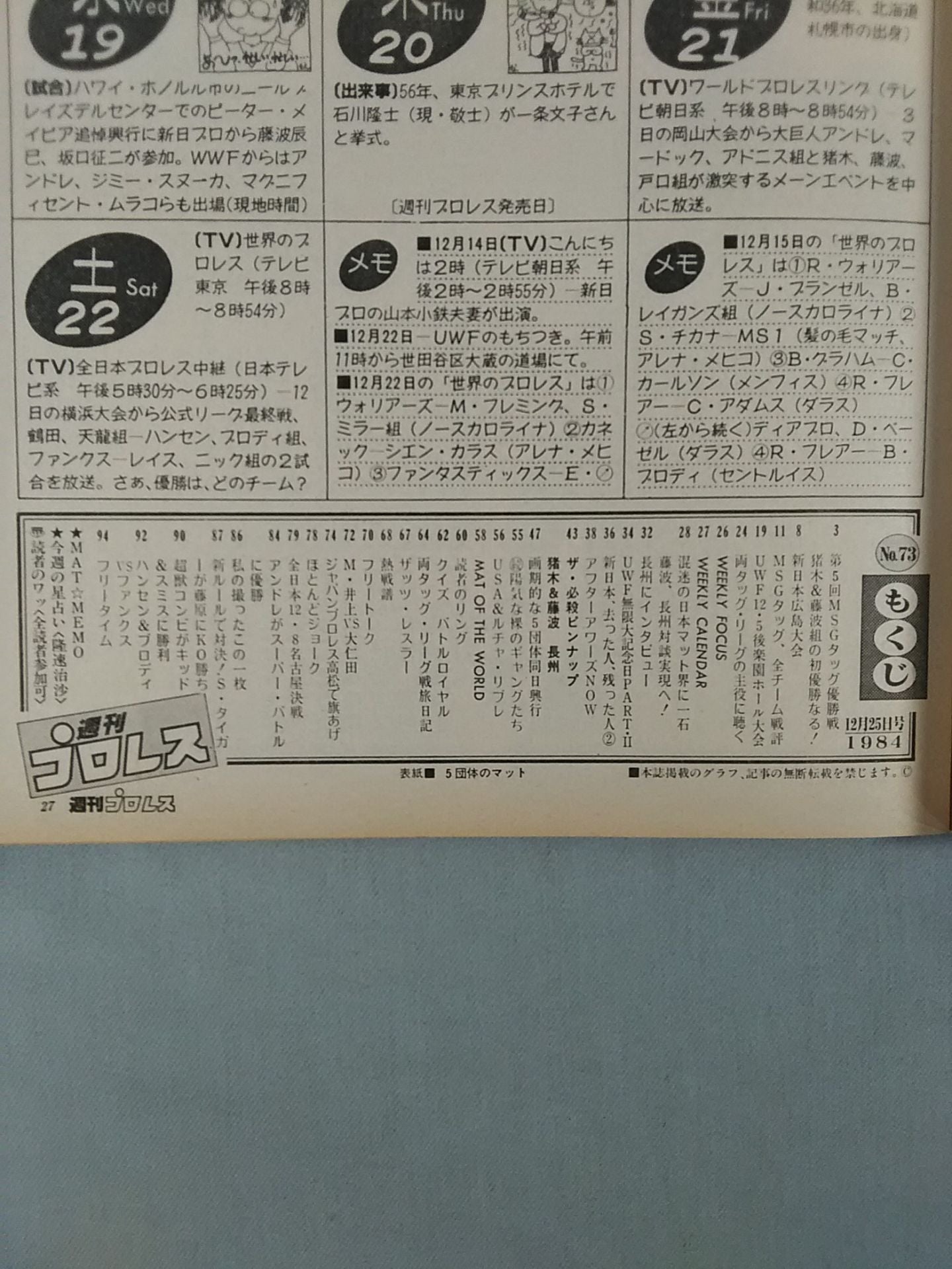 Weekly Pro Wrestling 73