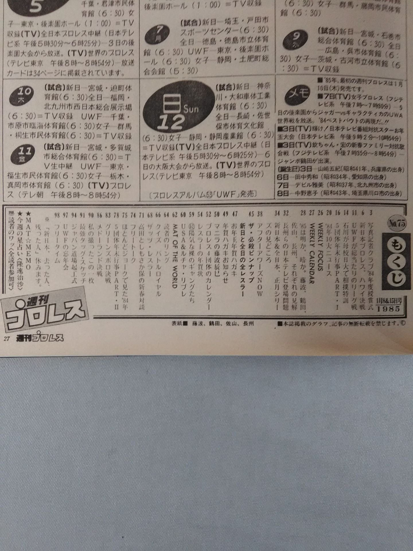 Weekly Pro Wrestling 75